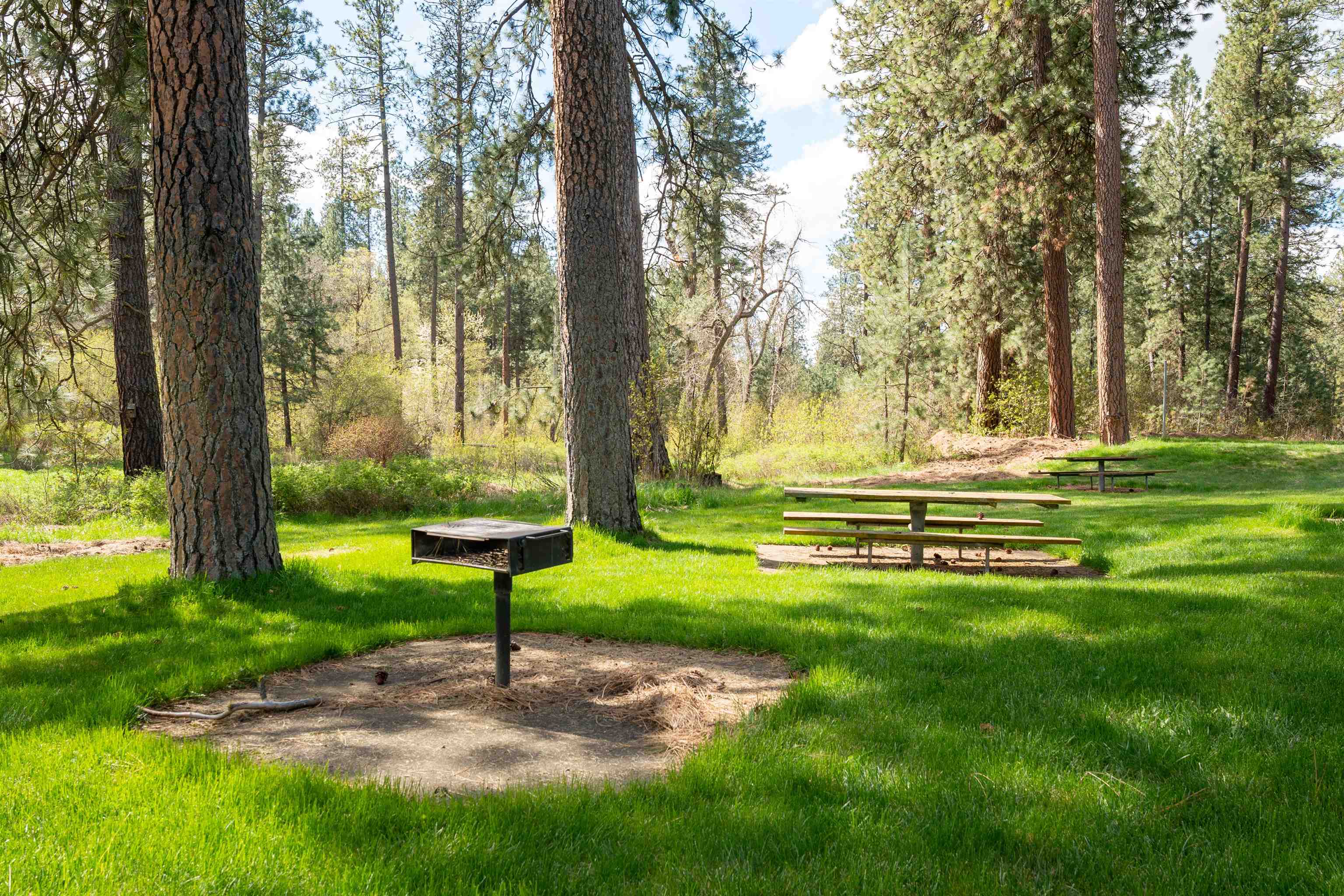 11511 E Connor Rd - Photo 48