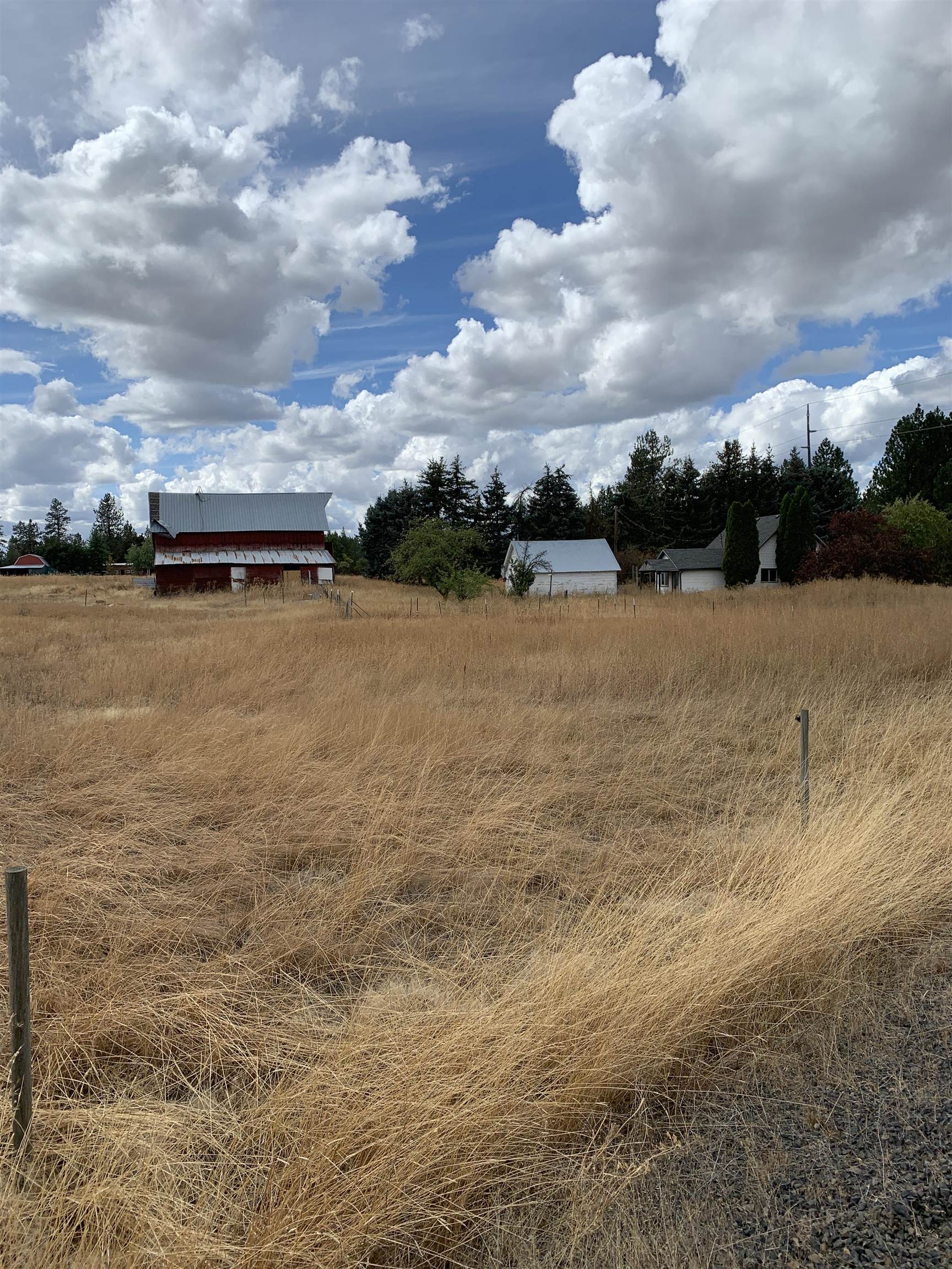 3825 W Burroughs Rd - Photo 12