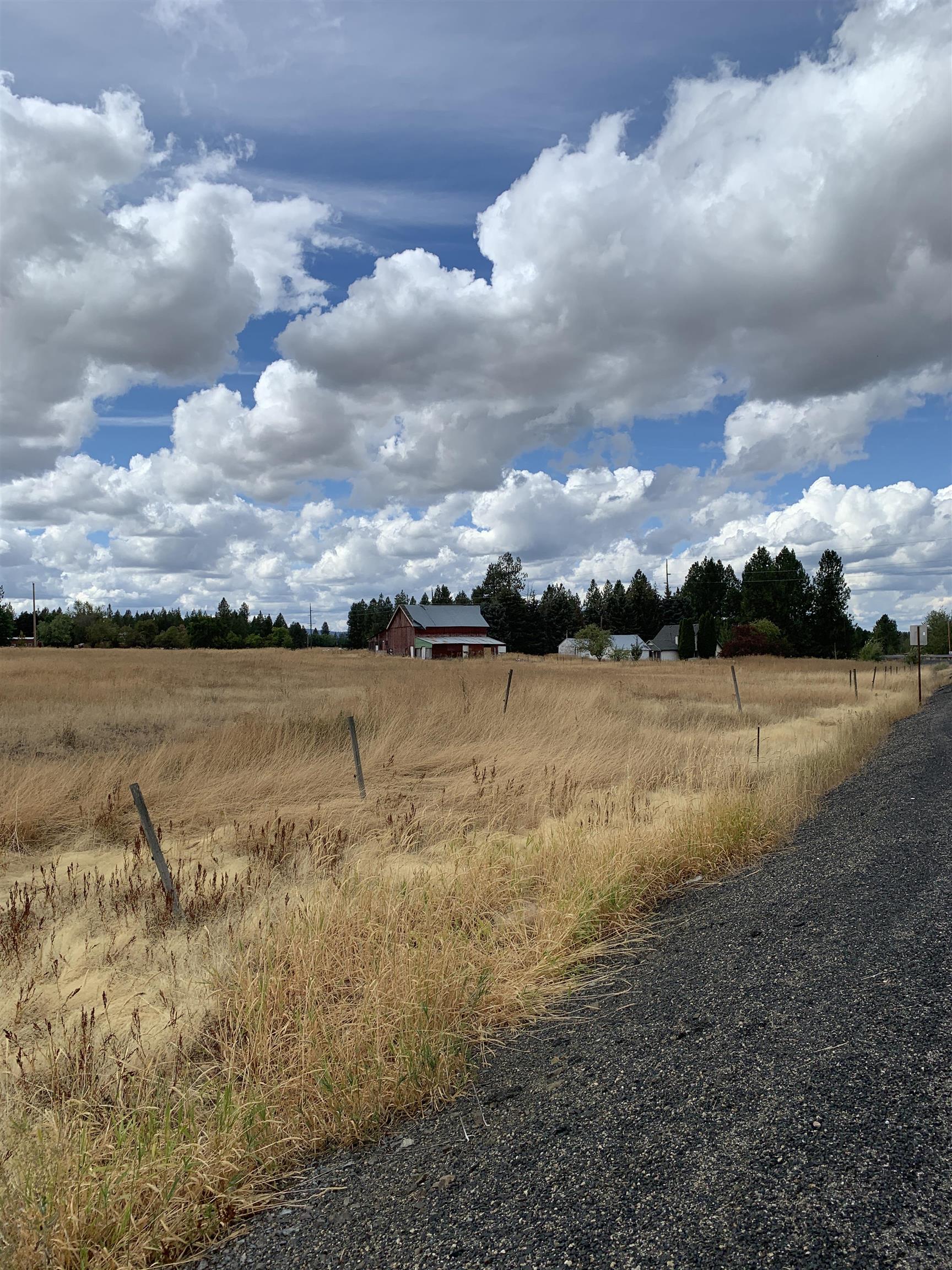 3825 W Burroughs Rd - Photo 13
