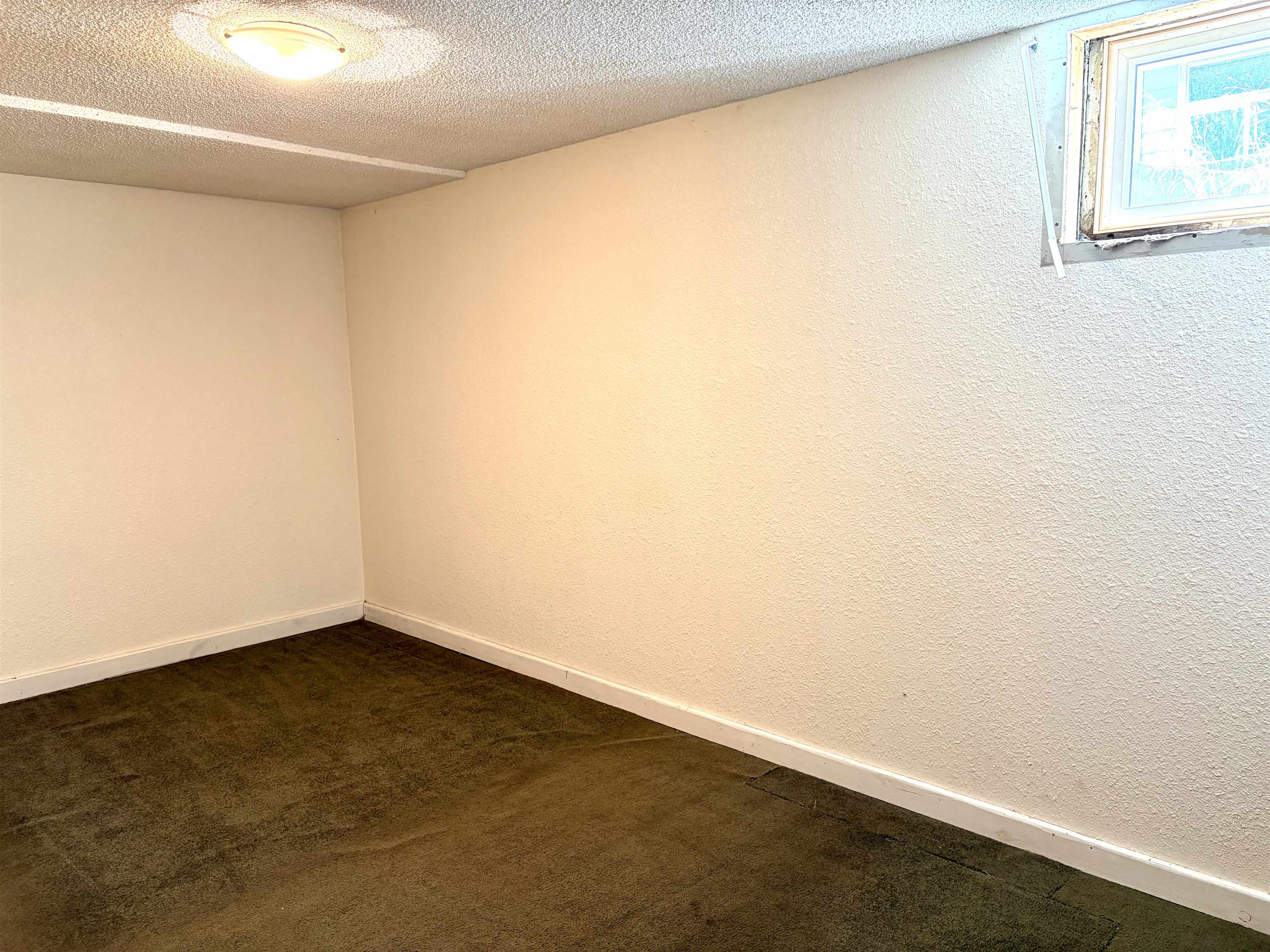 3923 E Pacific Ave - Photo 24
