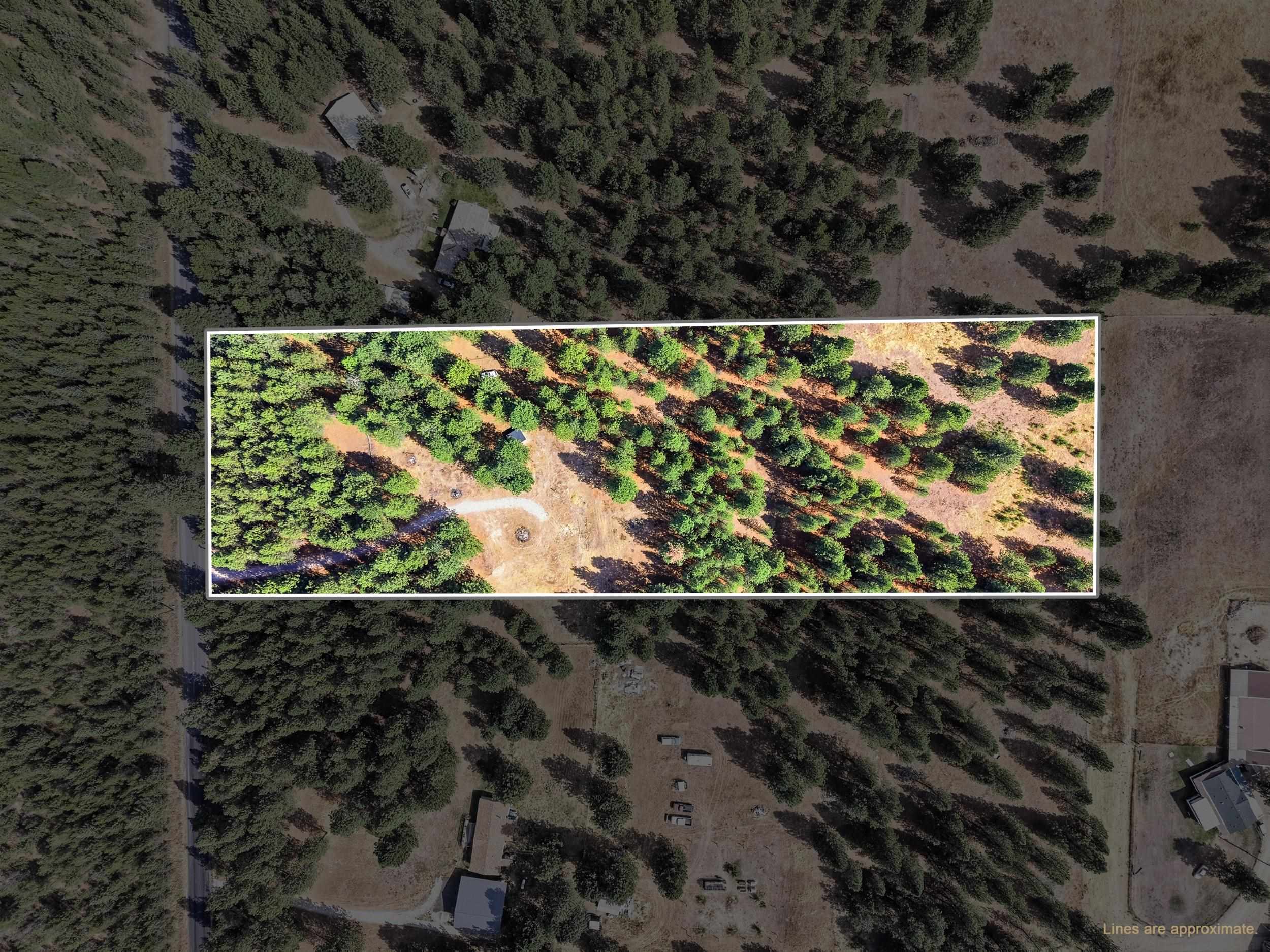 11612 E Laurel Rd - Photo 2