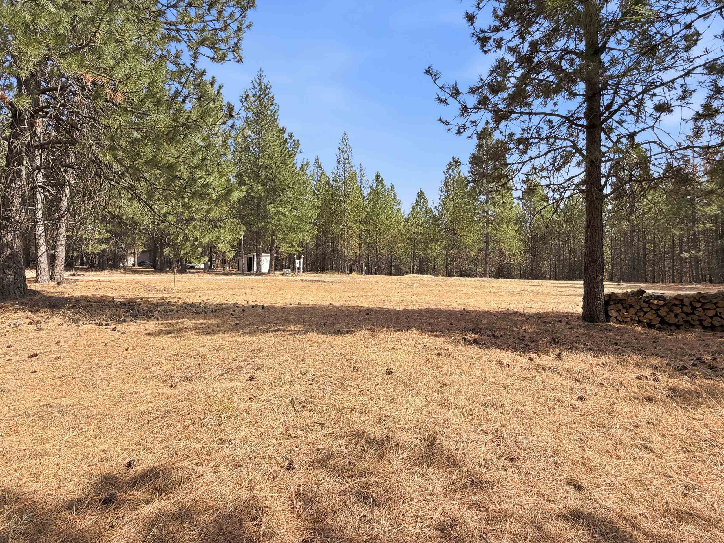 11612 E Laurel Rd - Photo 6