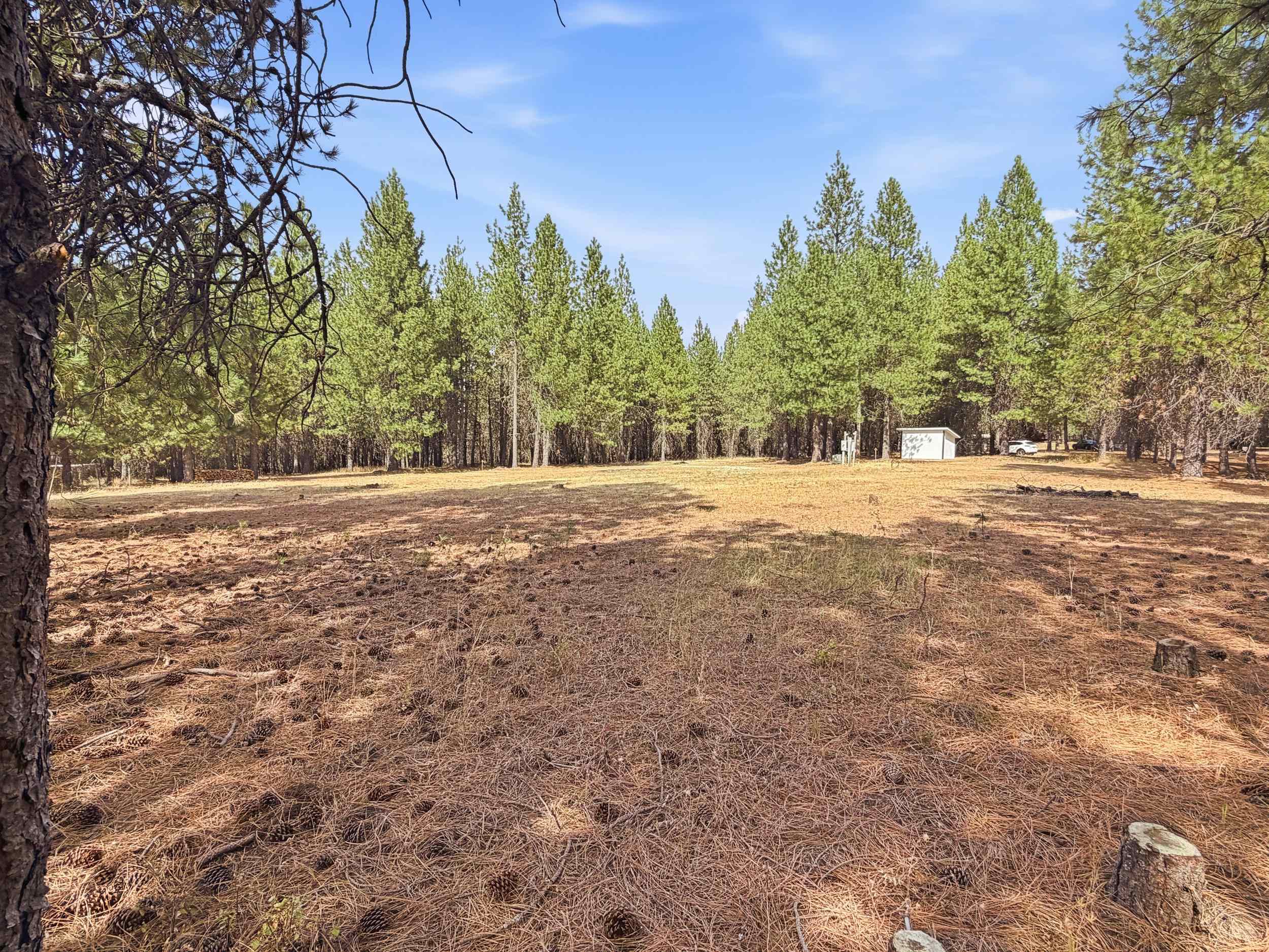 11612 E Laurel Rd - Photo 8