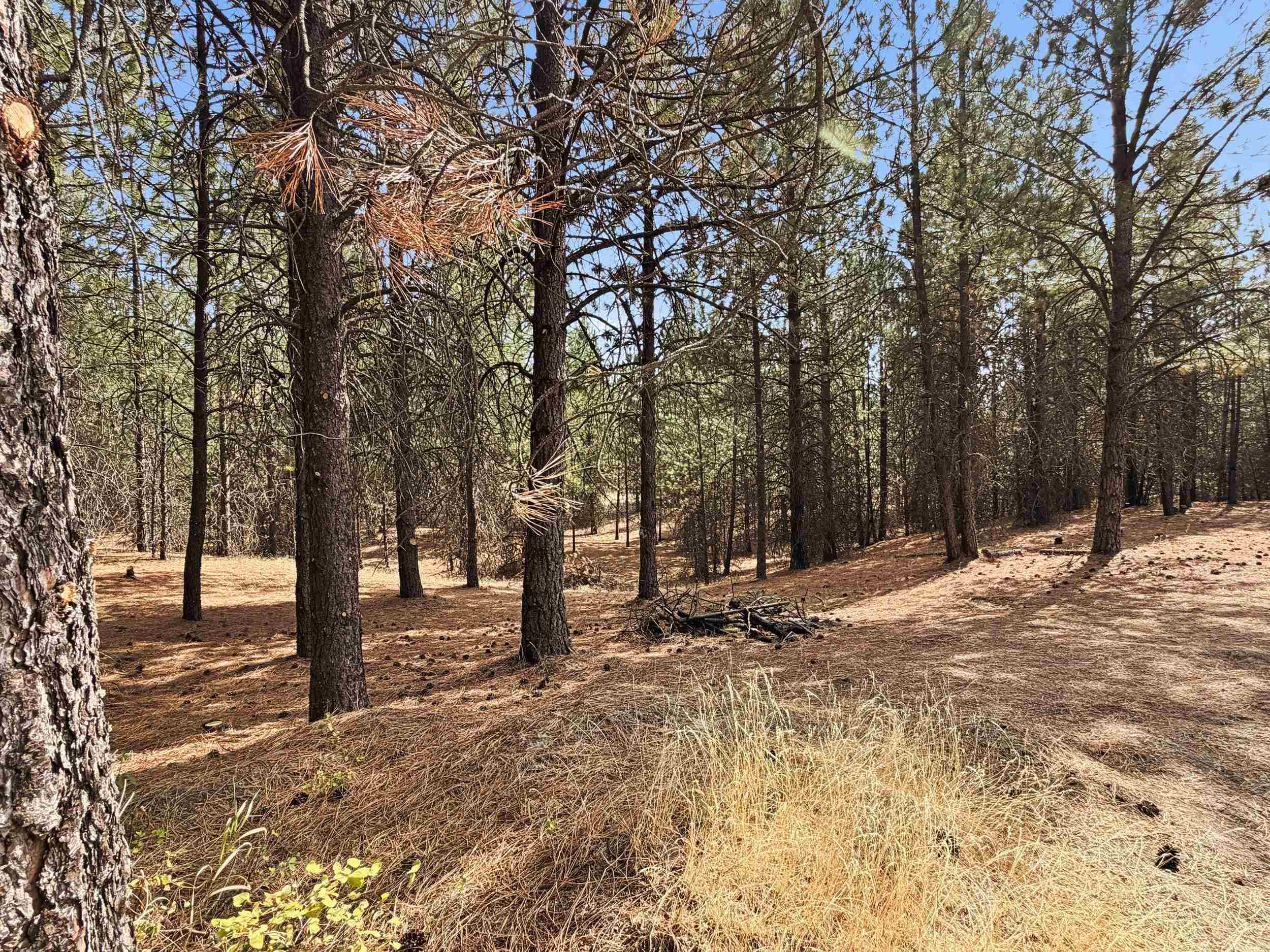 11612 E Laurel Rd - Photo 14