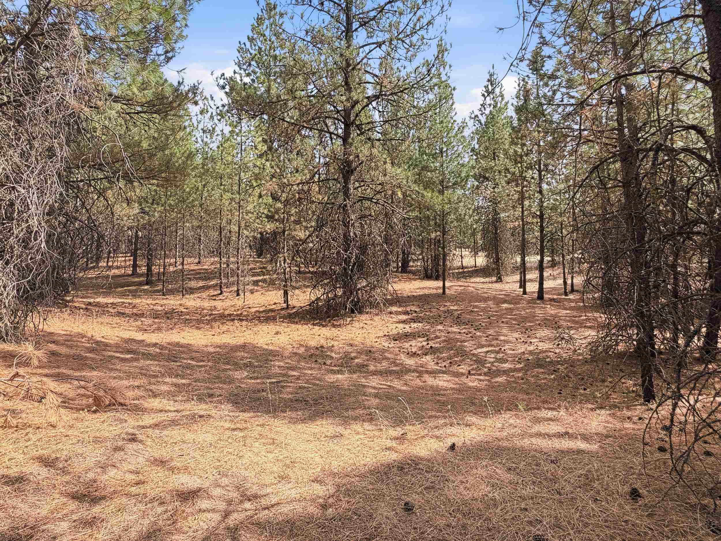 11612 E Laurel Rd - Photo 15