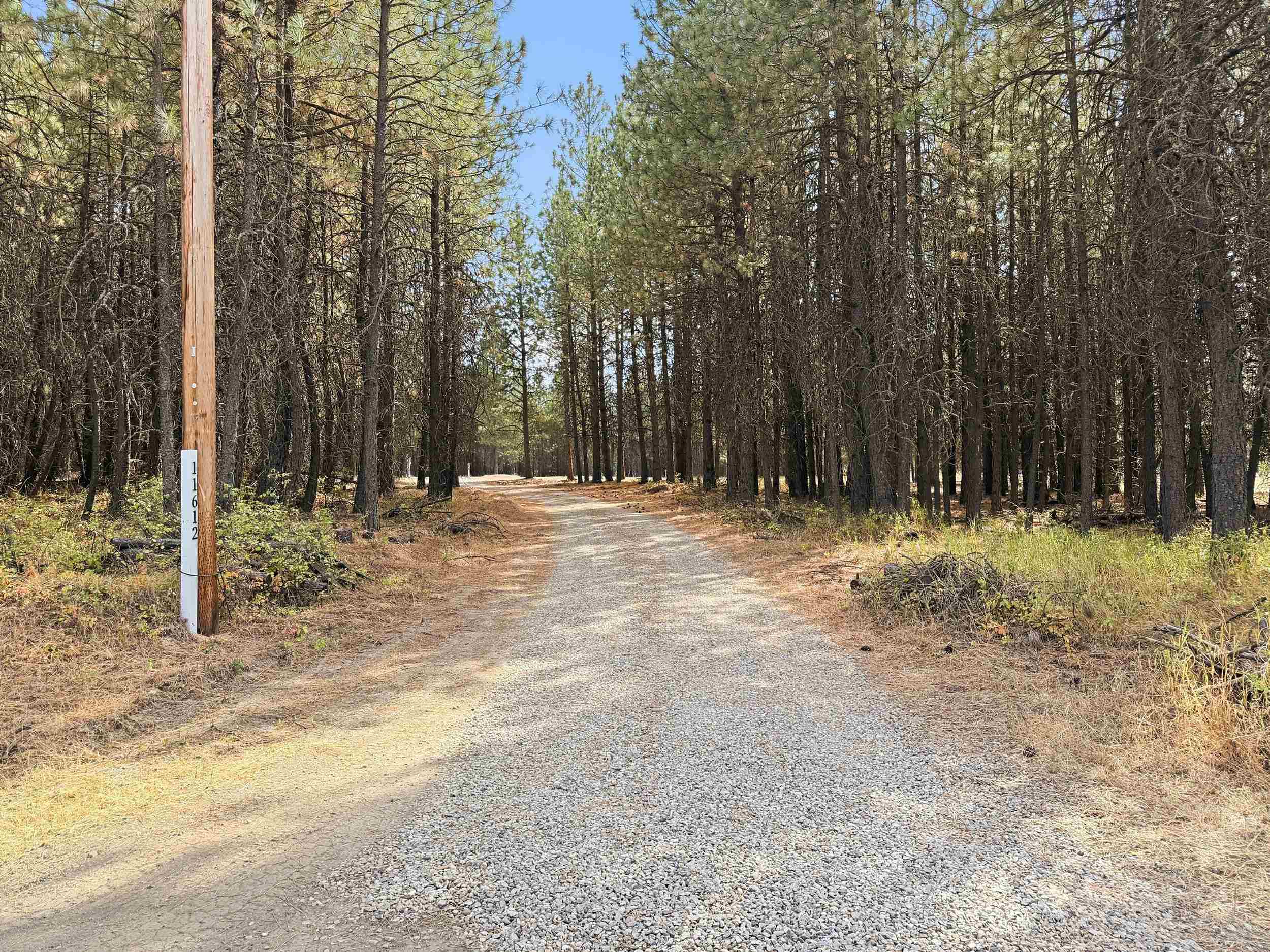 11612 E Laurel Rd - Photo 4