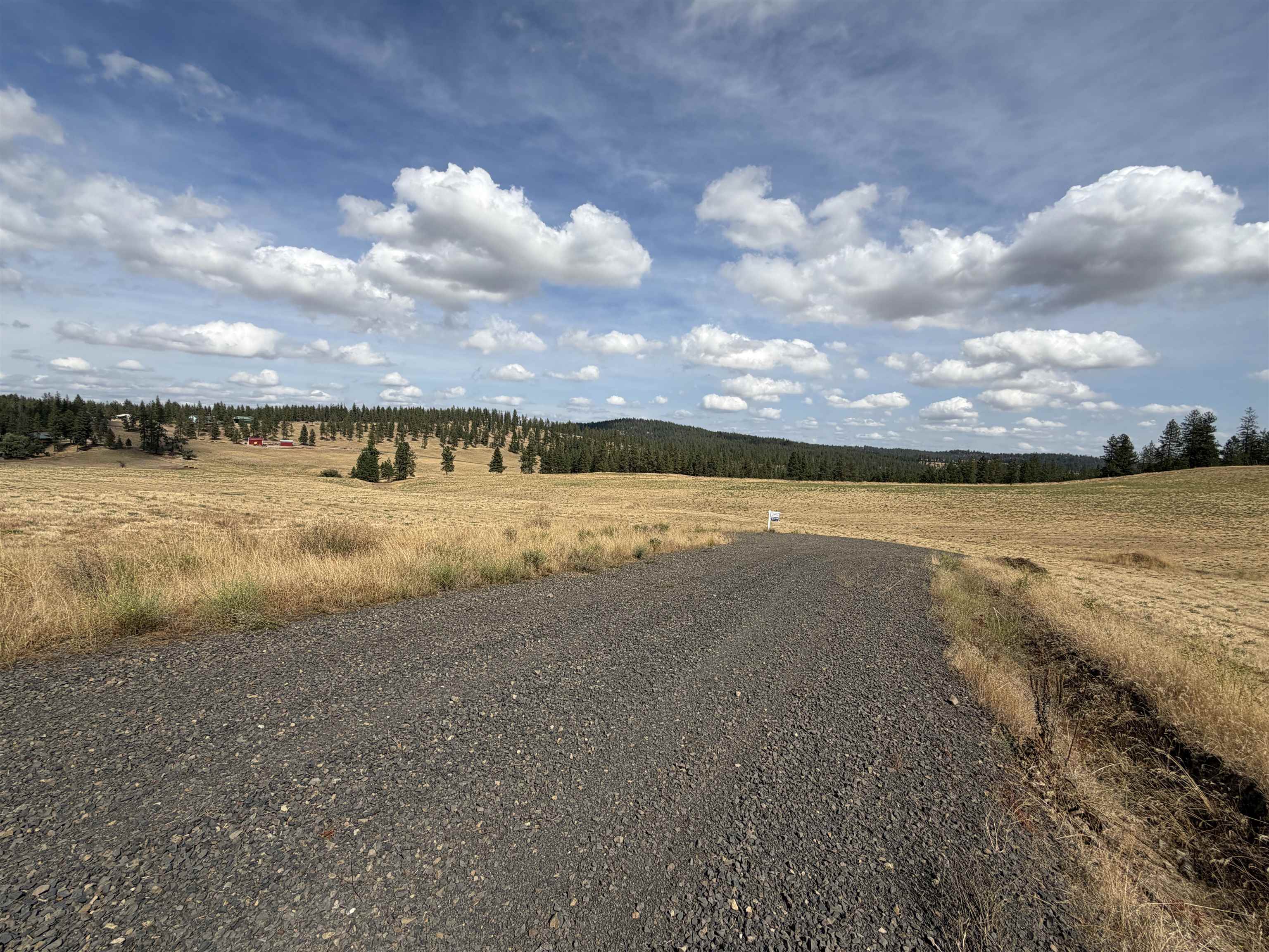 XXXX Rocky Top Way - Photo 7