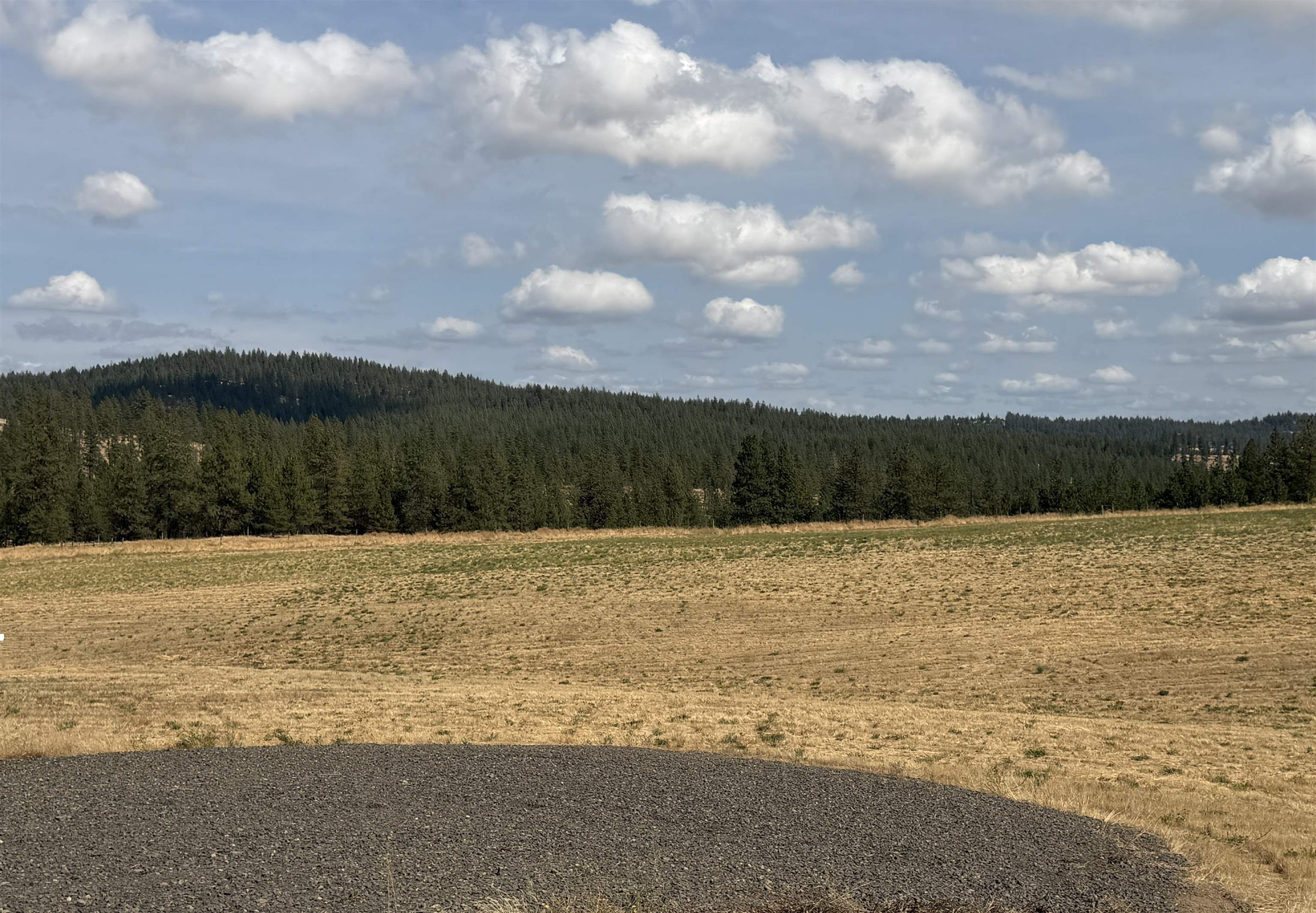 XXXX Rocky Top Way - Photo 8
