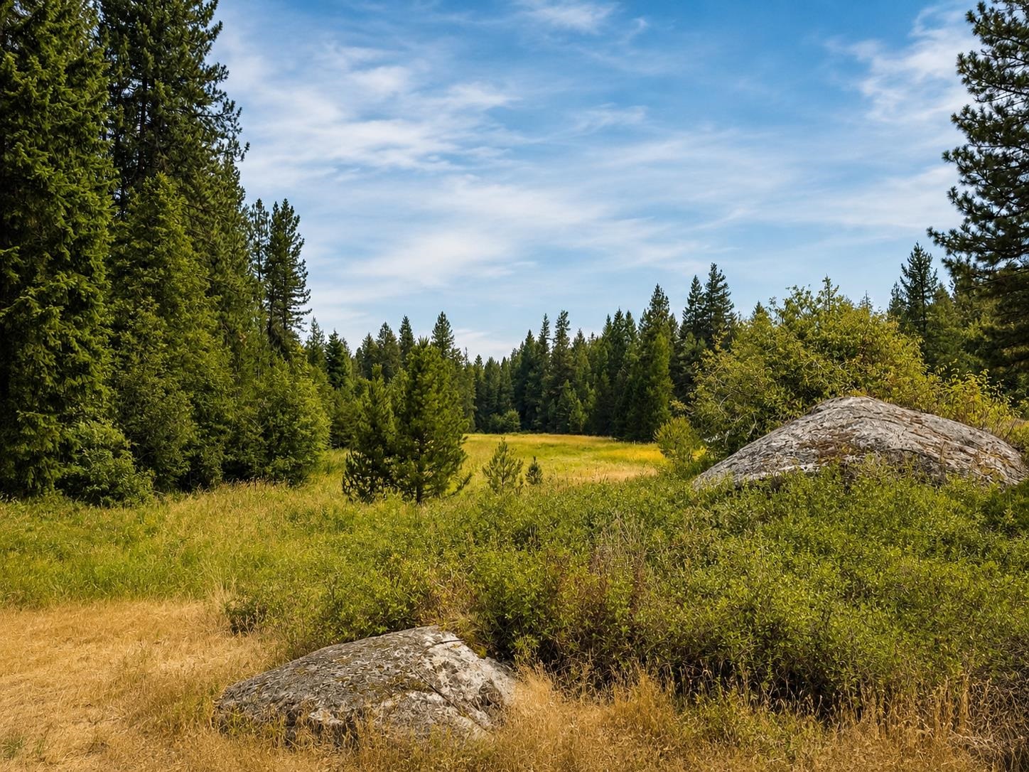 1 Quartz Rd - Photo 1