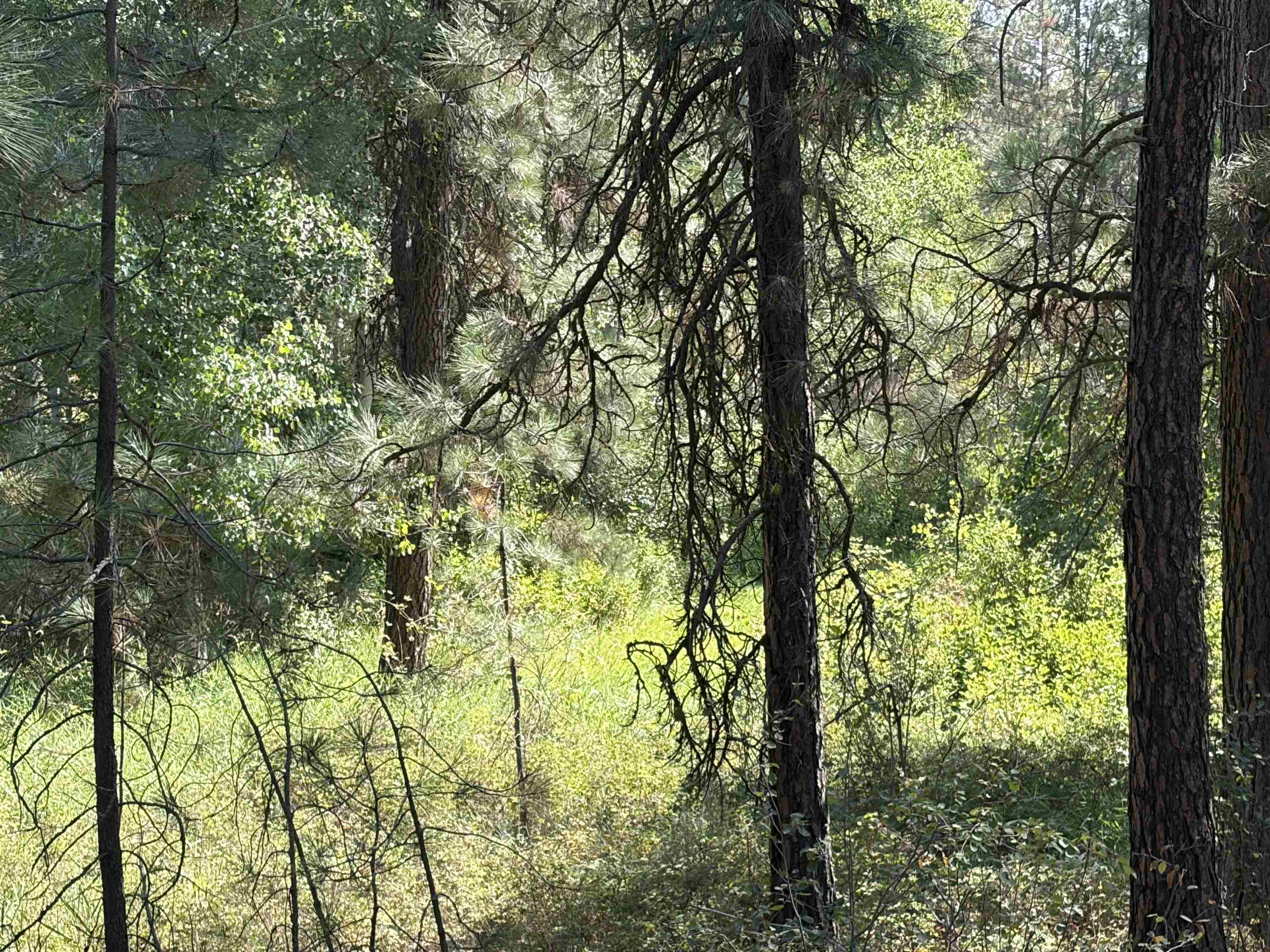 XXXXX S Malloy Prairie Rd - Photo 4