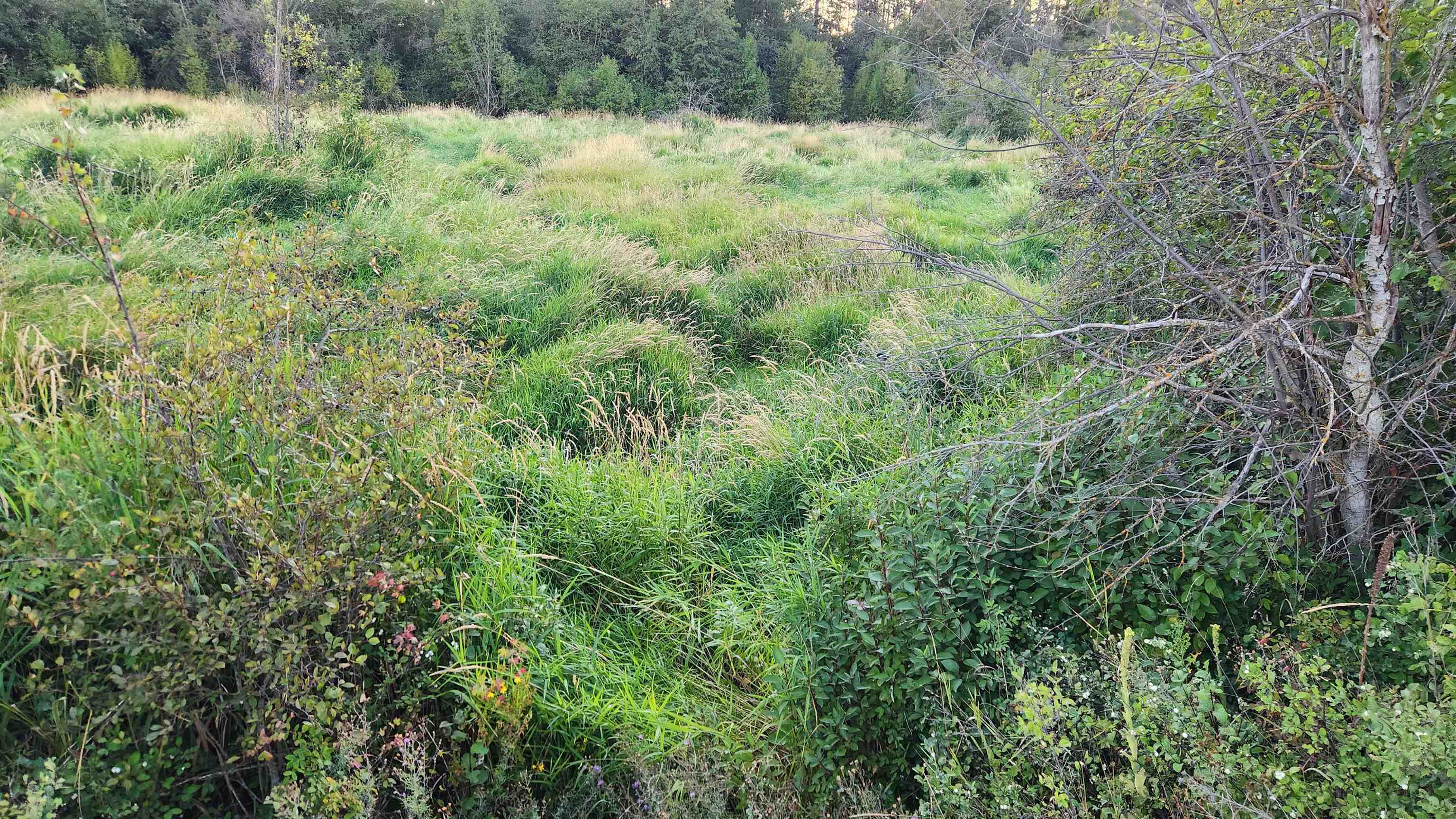 0 W Enoch Rd - Photo 4