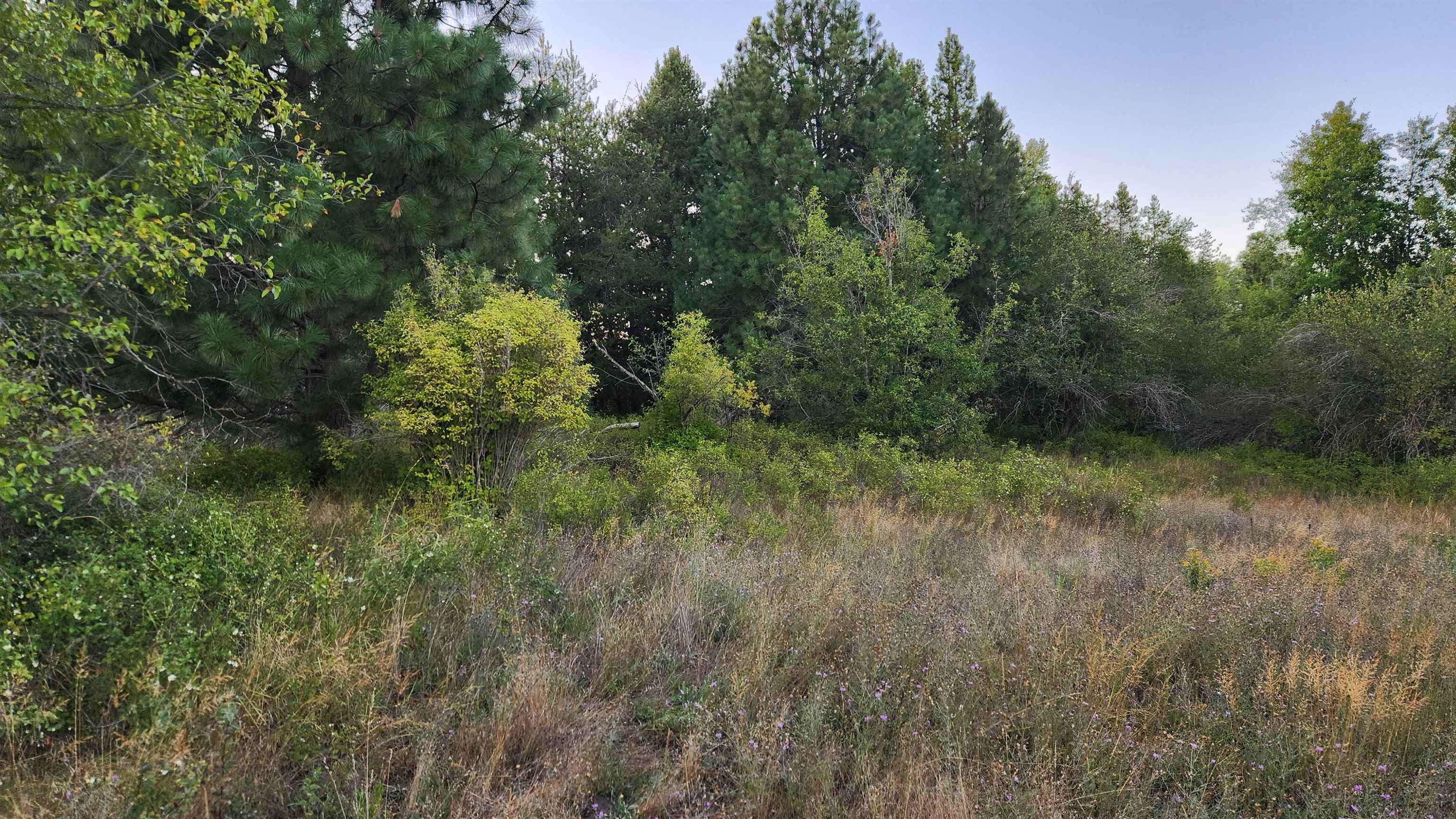 0 W Enoch Rd - Photo 5