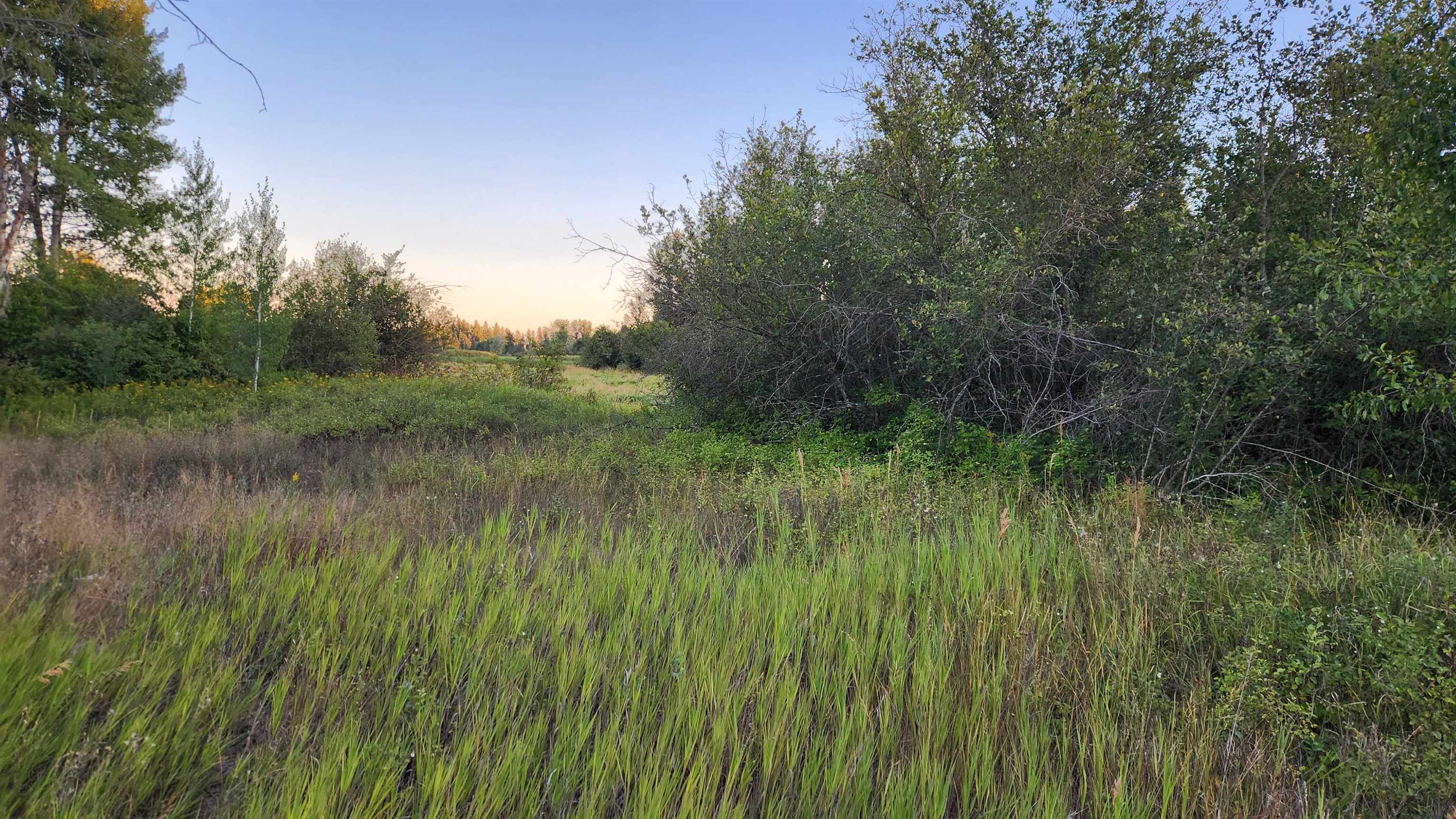 0 W Enoch Rd - Photo 6