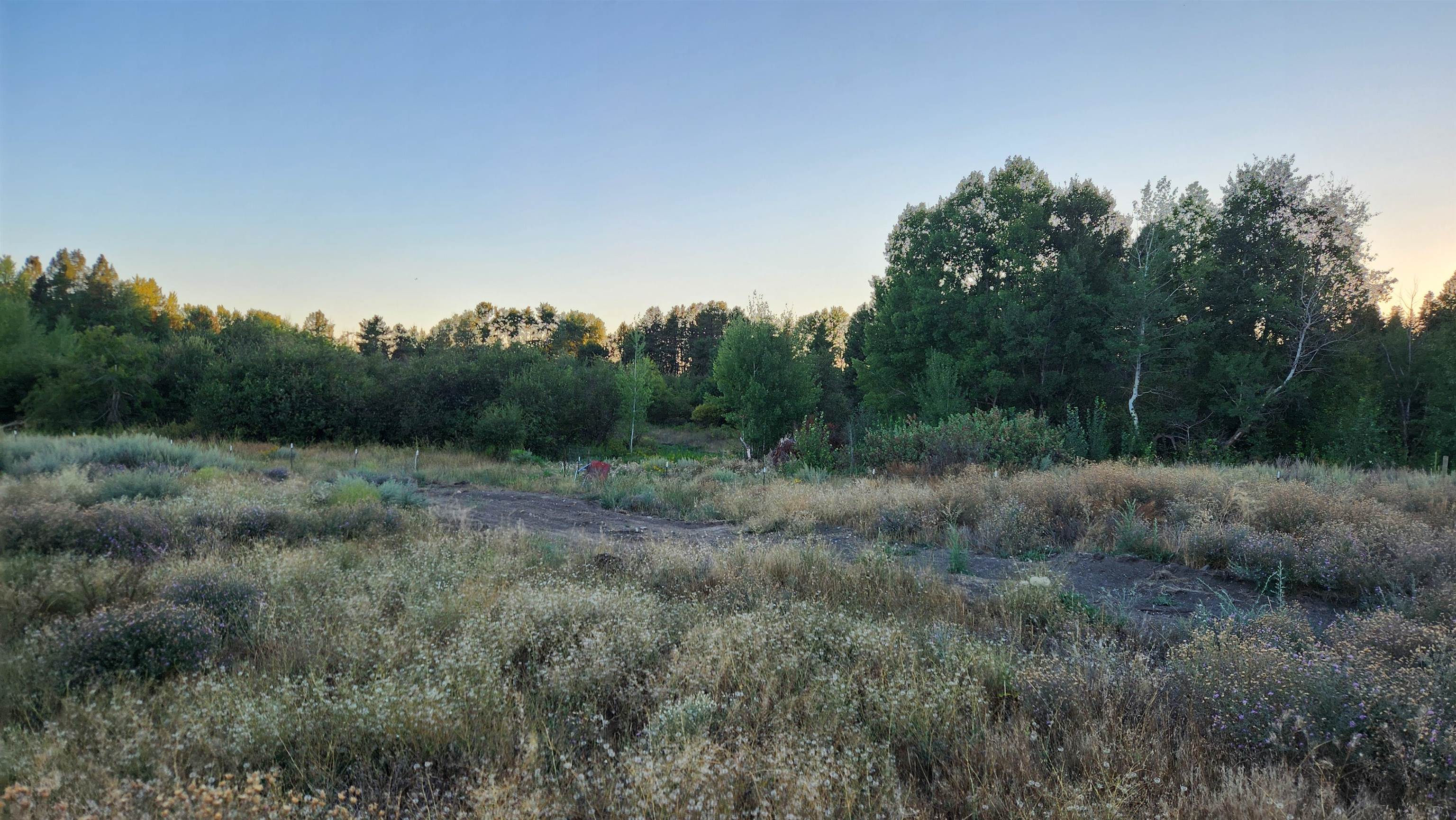 0 W Enoch Rd - Photo 10