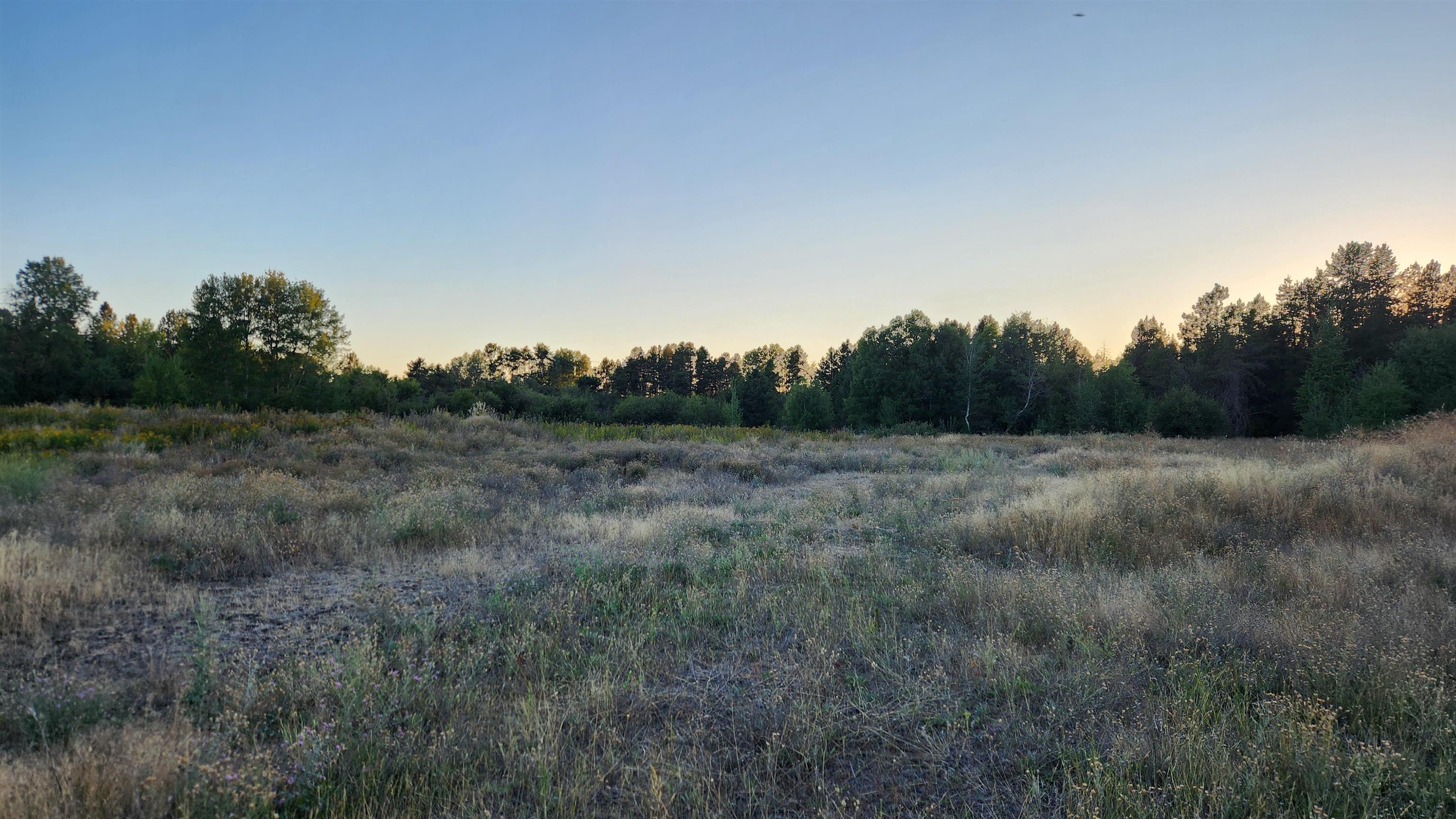 0 W Enoch Rd - Photo 11