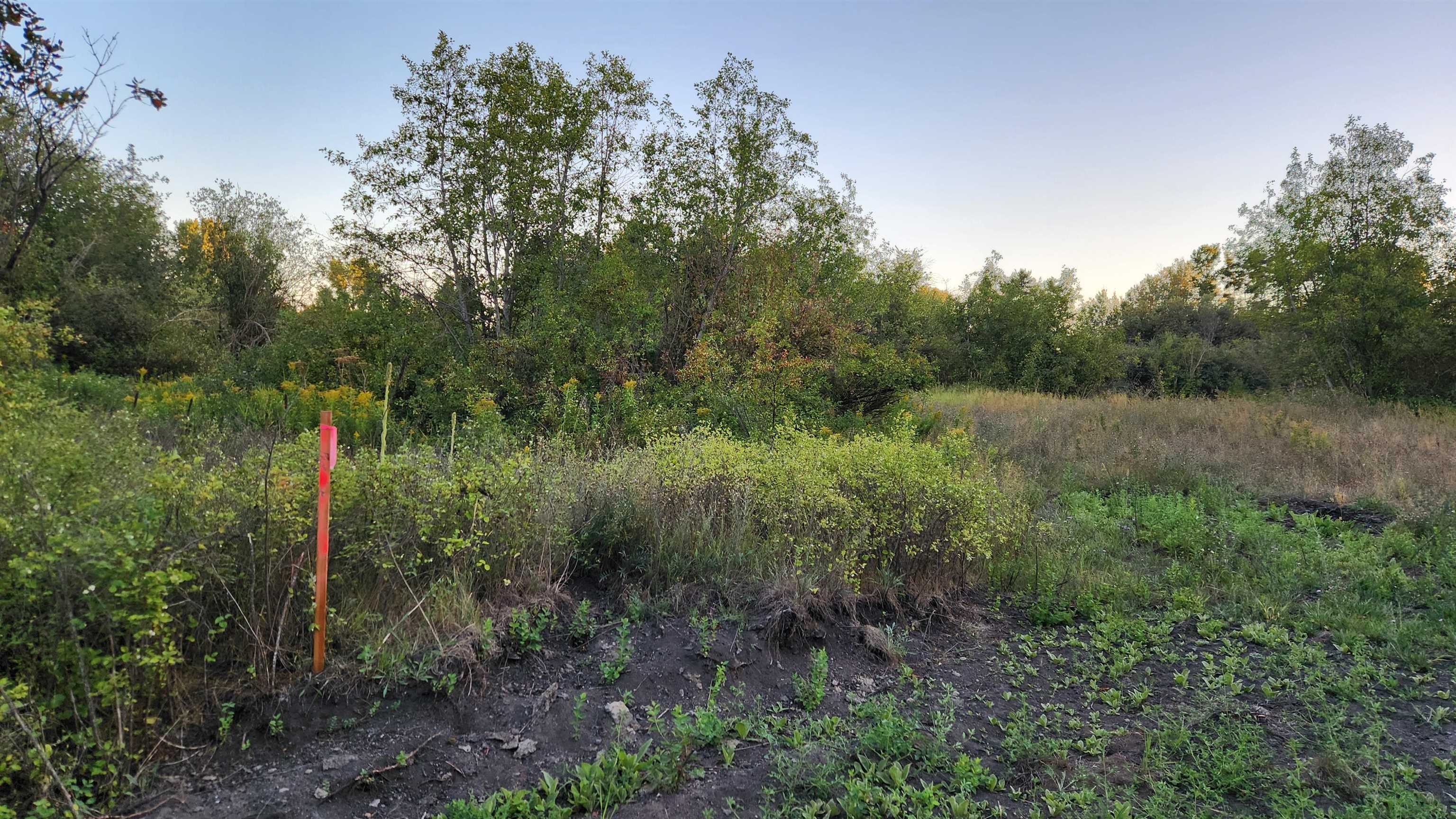 0 W Enoch Rd - Photo 13