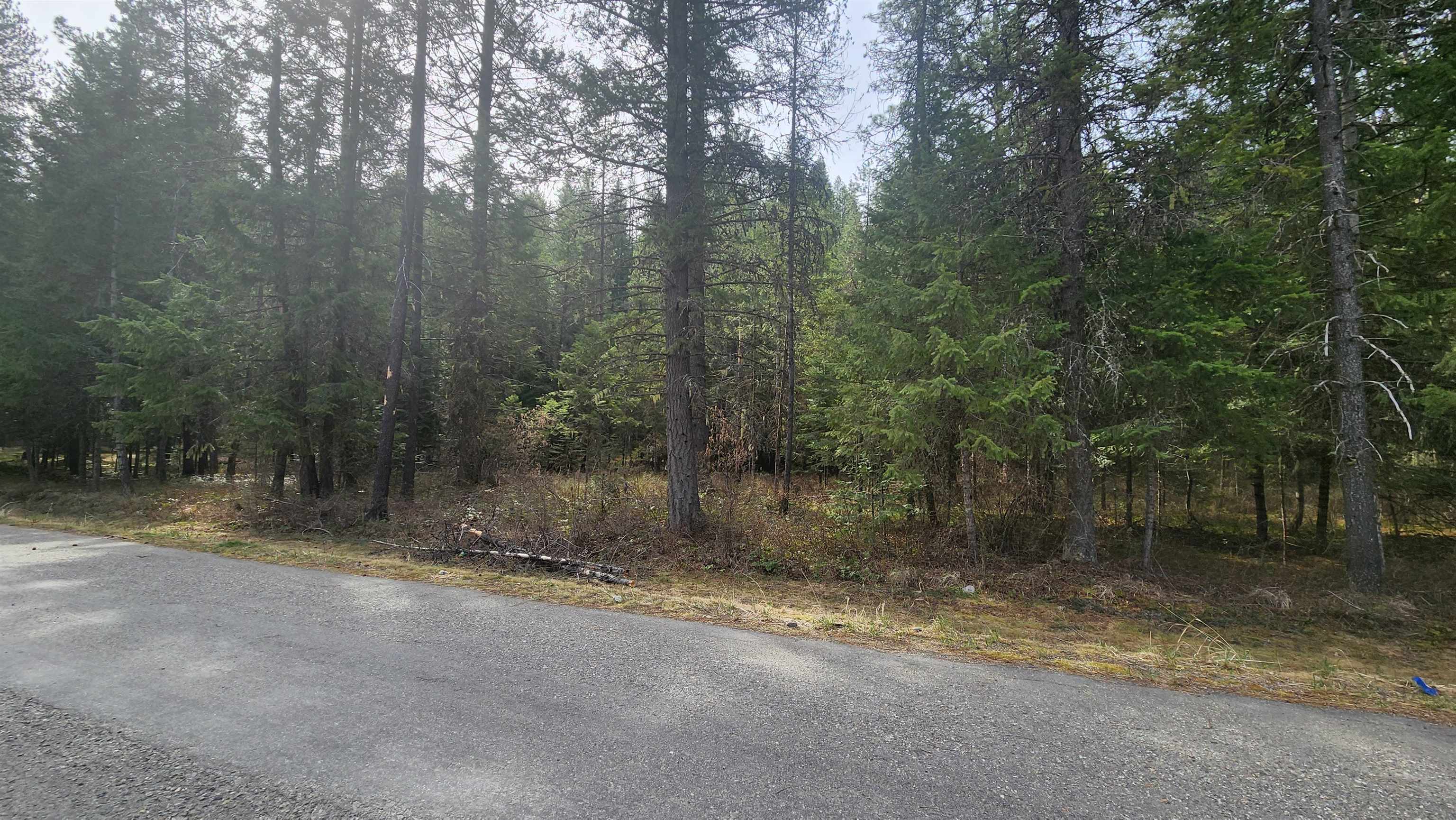711 Herbs Dr - Photo 19