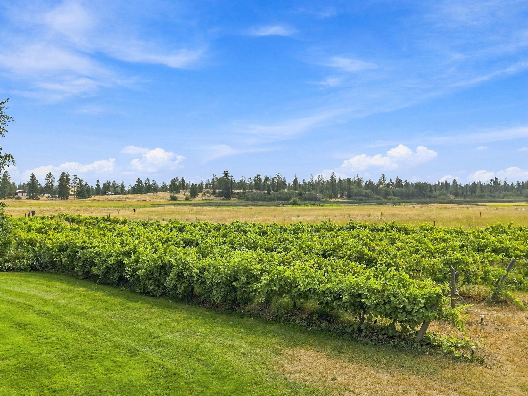 12926 N Wood Rd - Photo 6