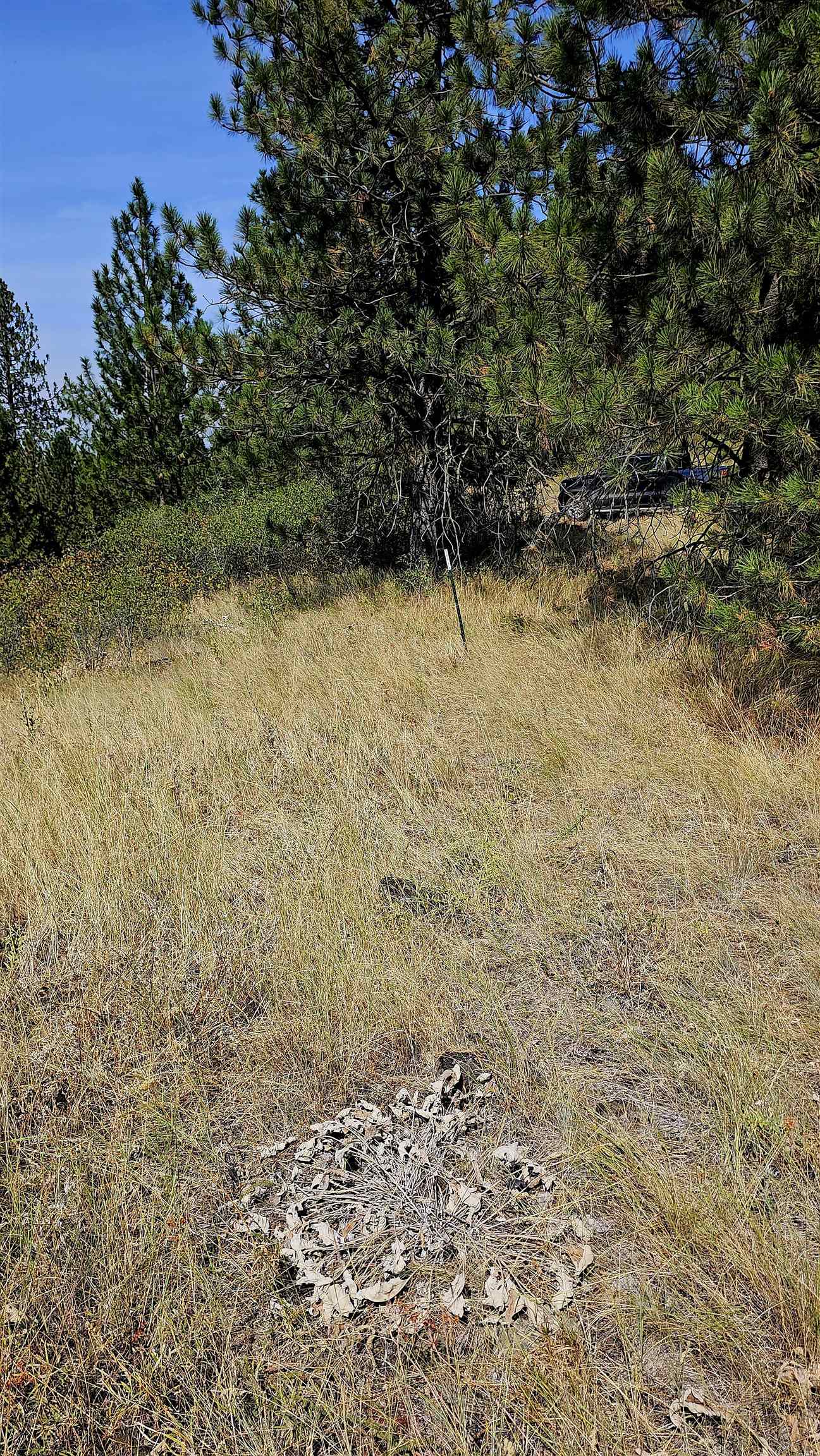 35XX Addy Cedonia Rd - Photo 7
