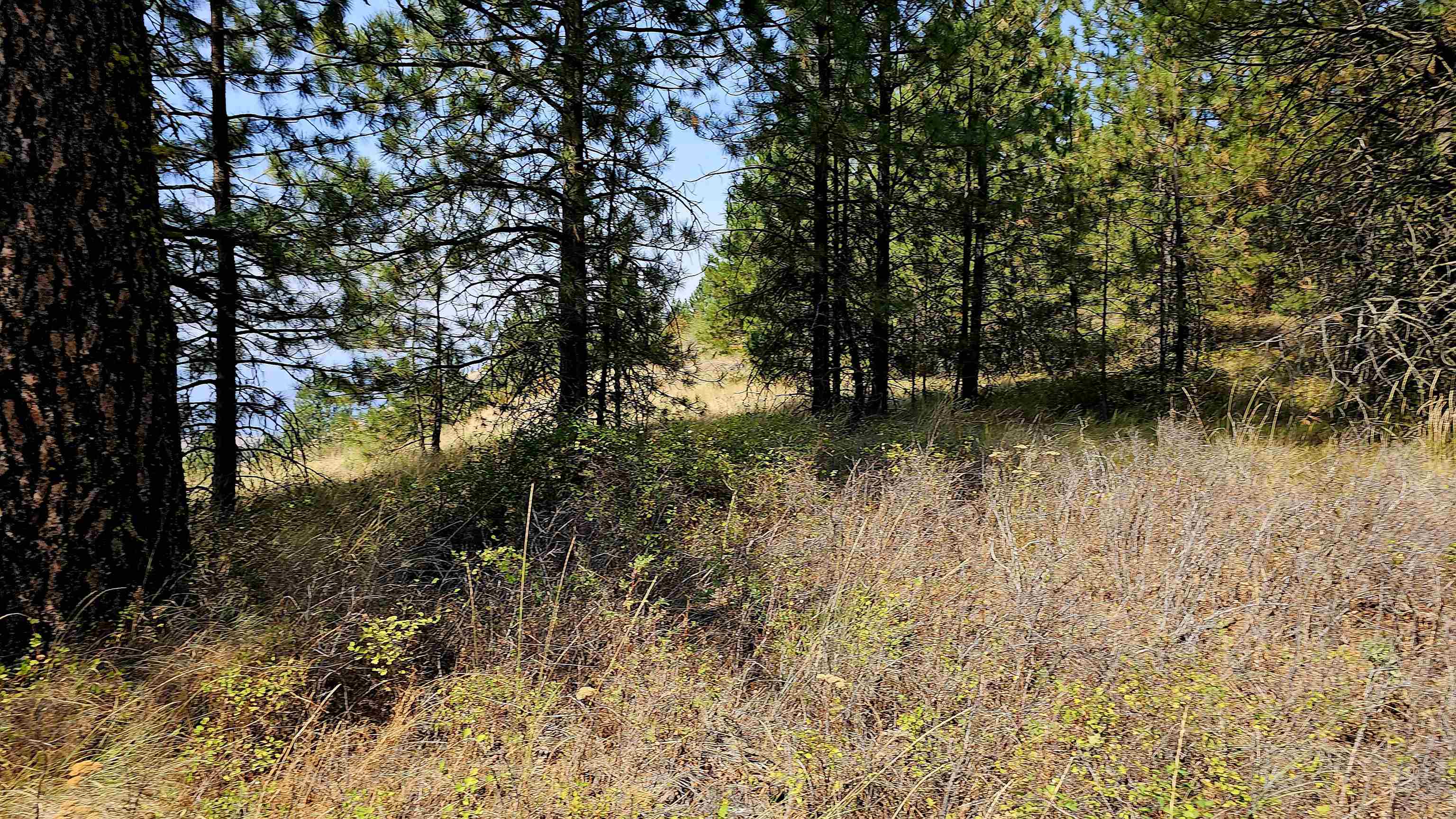 35XX Addy Cedonia Rd - Photo 15
