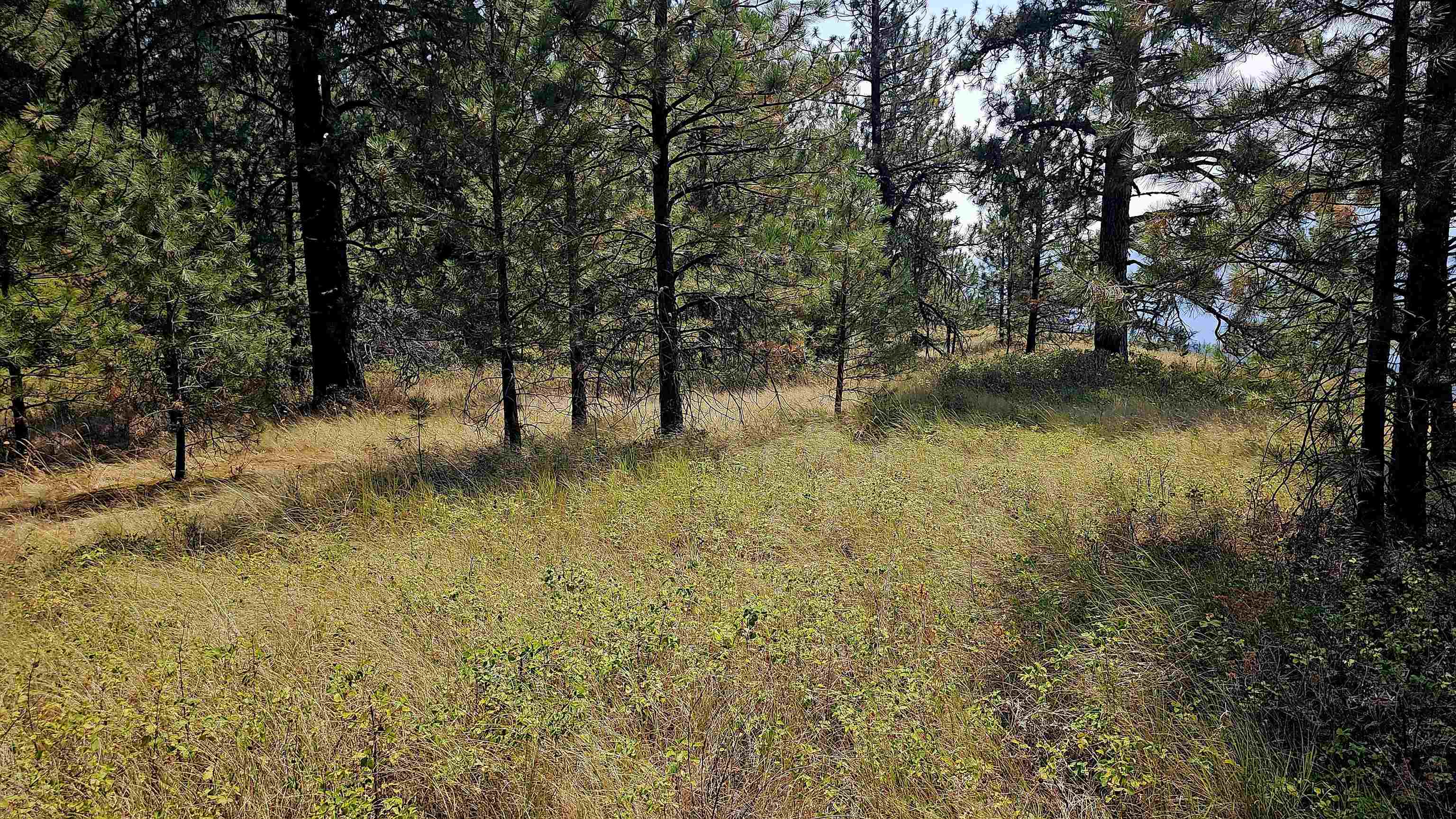35XX Addy Cedonia Rd - Photo 18