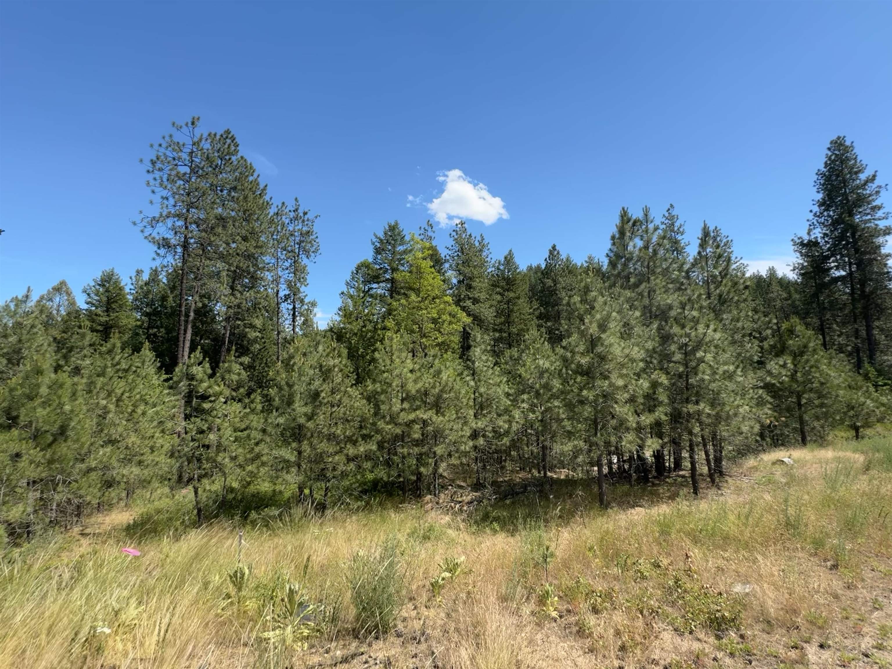402 N Beck Ln - Photo 5