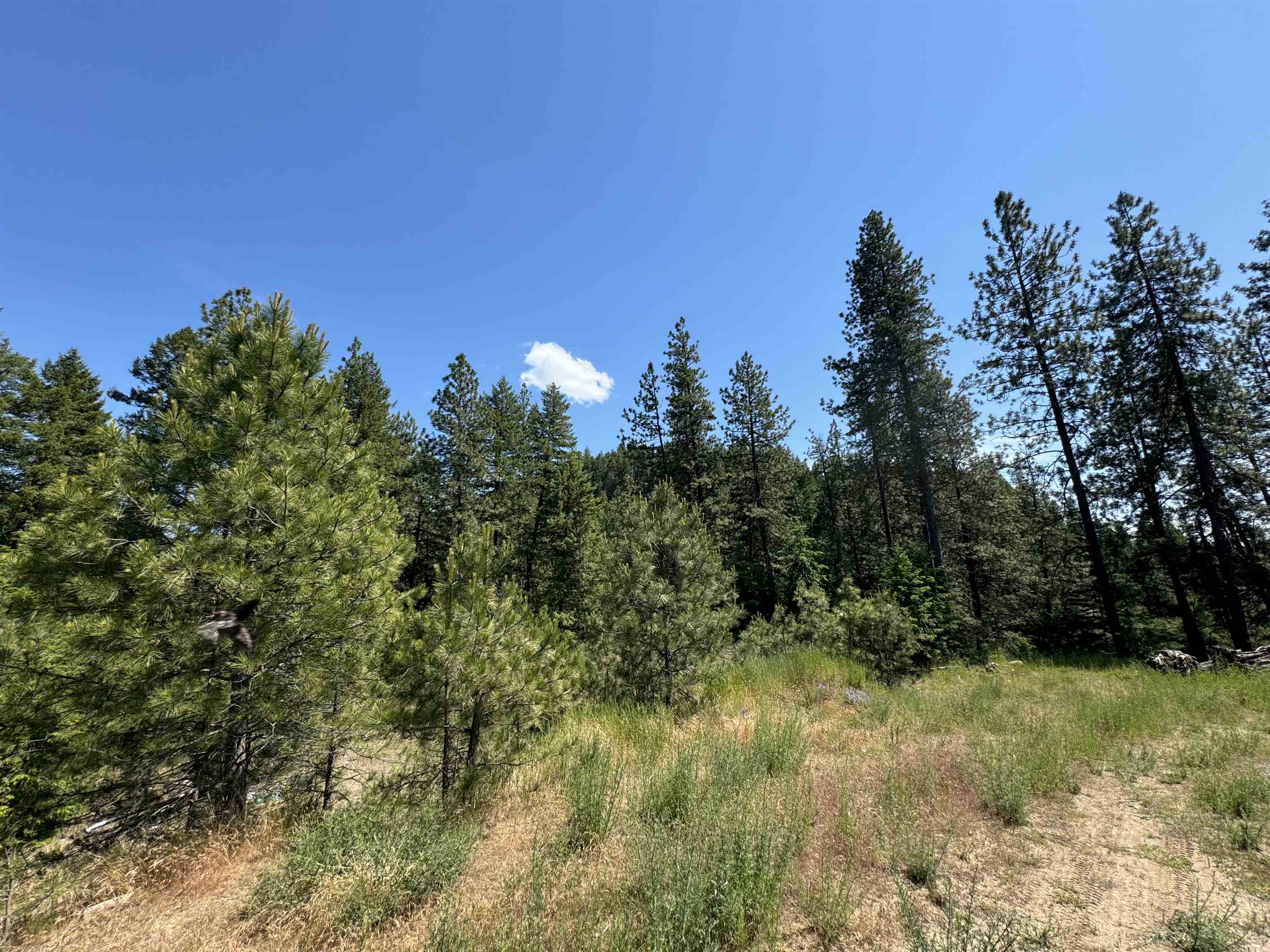 402 N Beck Ln - Photo 9
