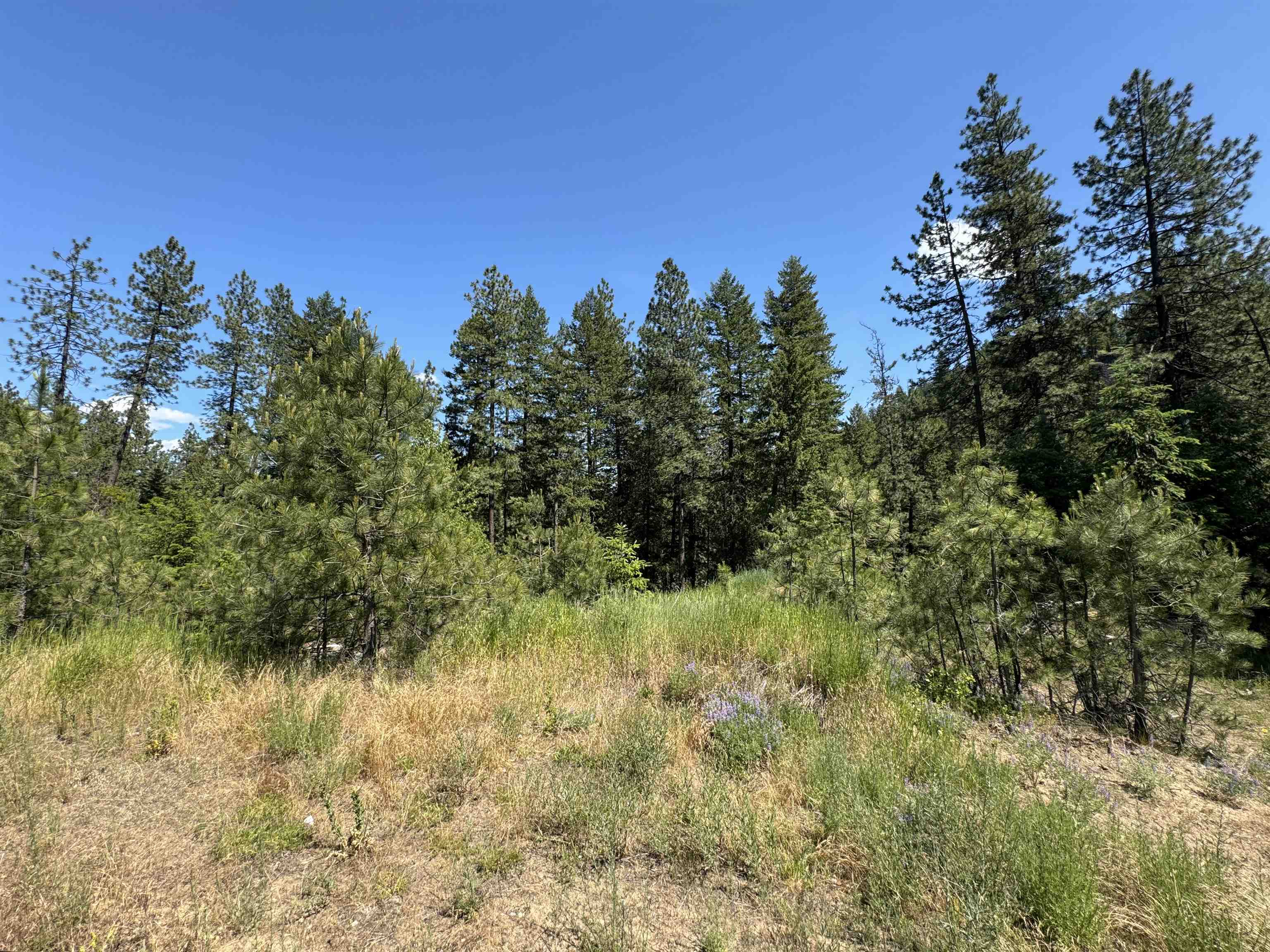 402 N Beck Ln - Photo 3