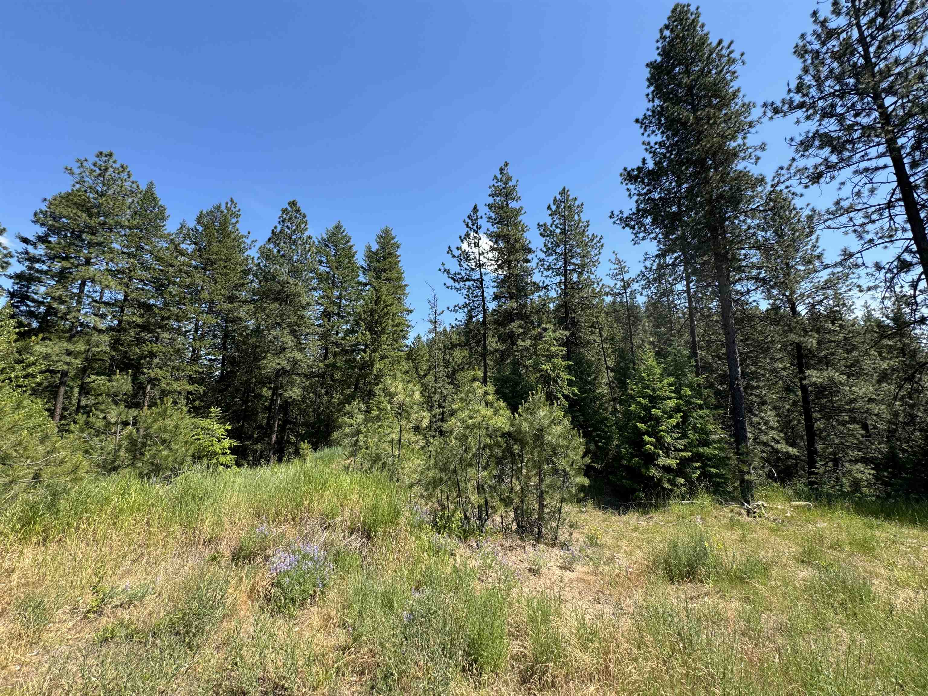 340 N Beck Ln - Photo 6