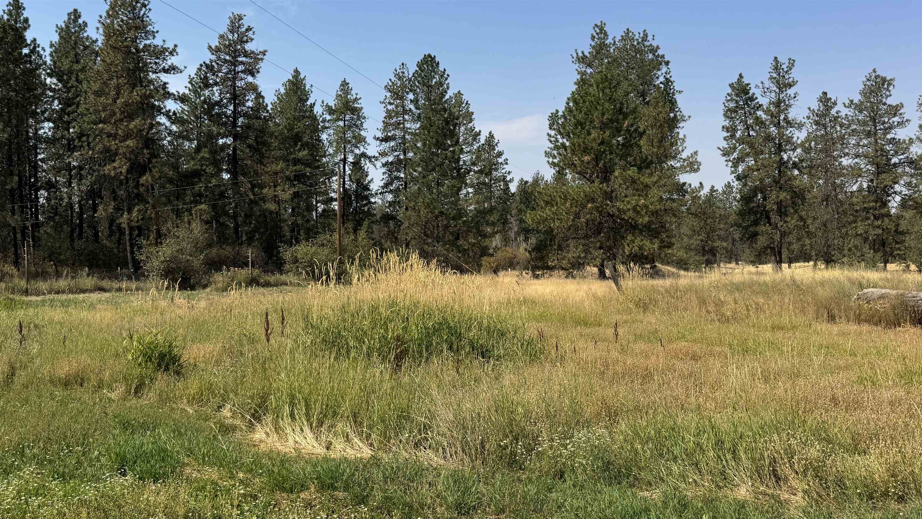 9916 W Newkirk Rd - Photo 25