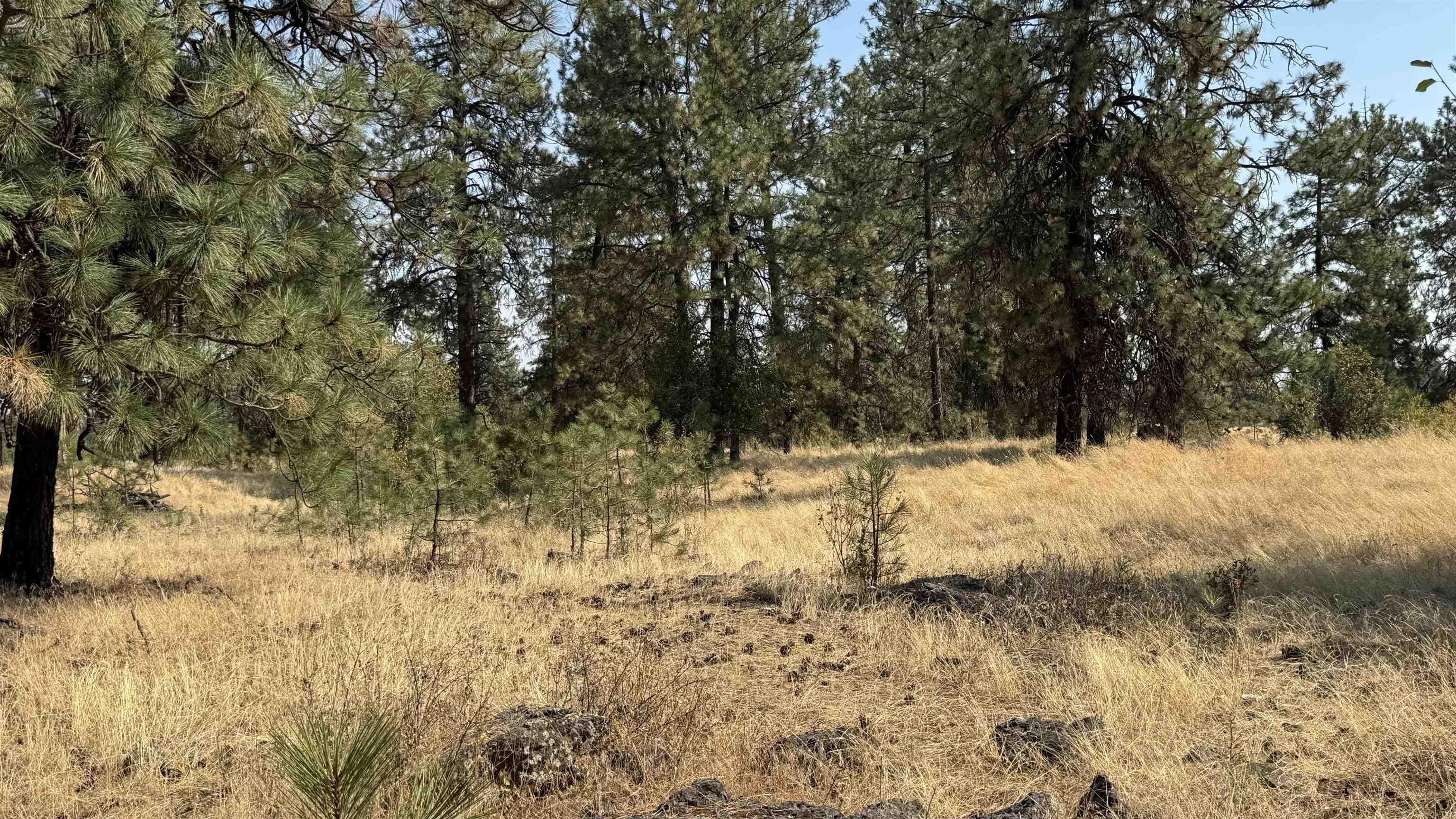 9916 W Newkirk Rd - Photo 24
