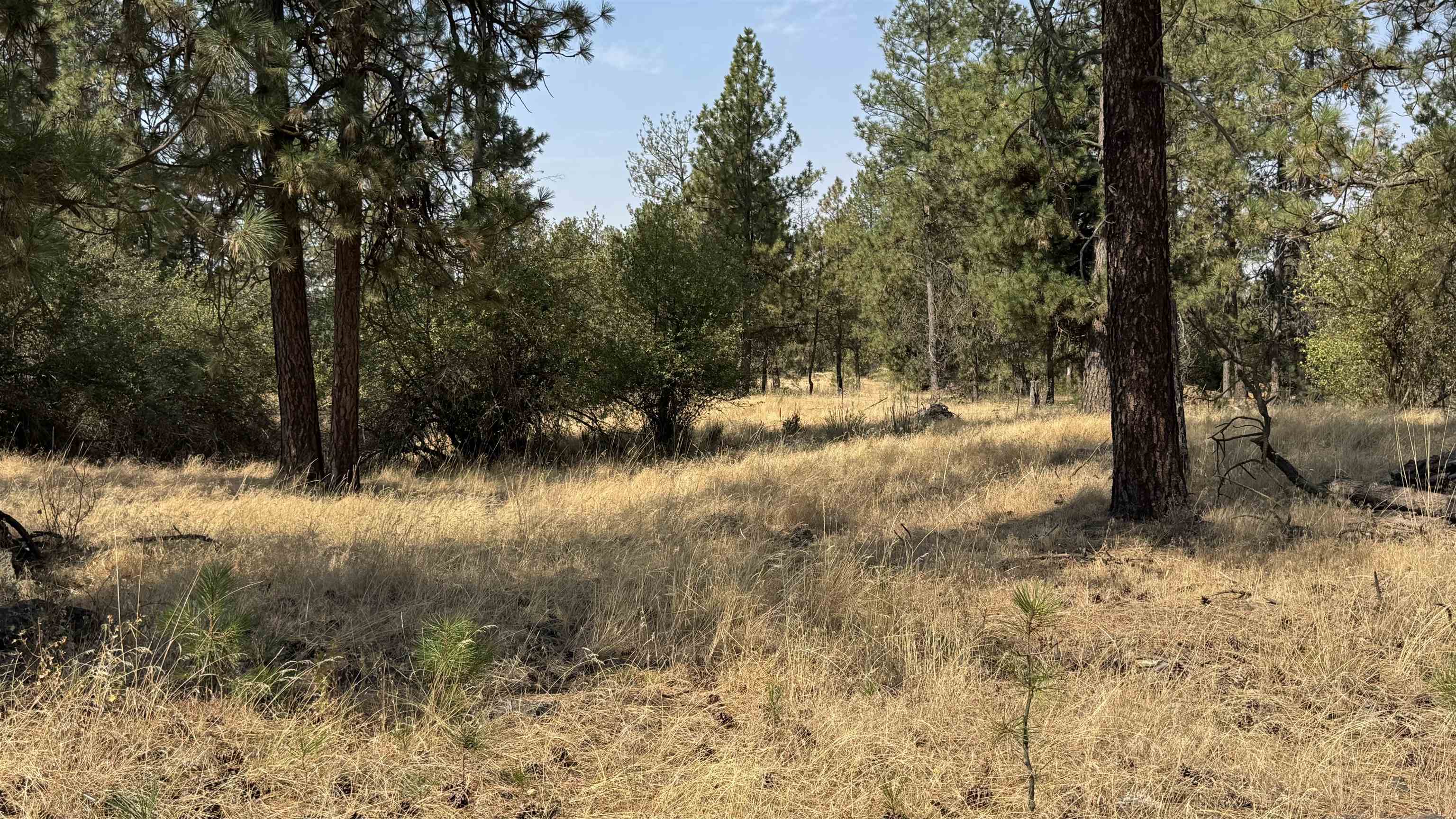 9916 W Newkirk Rd - Photo 29