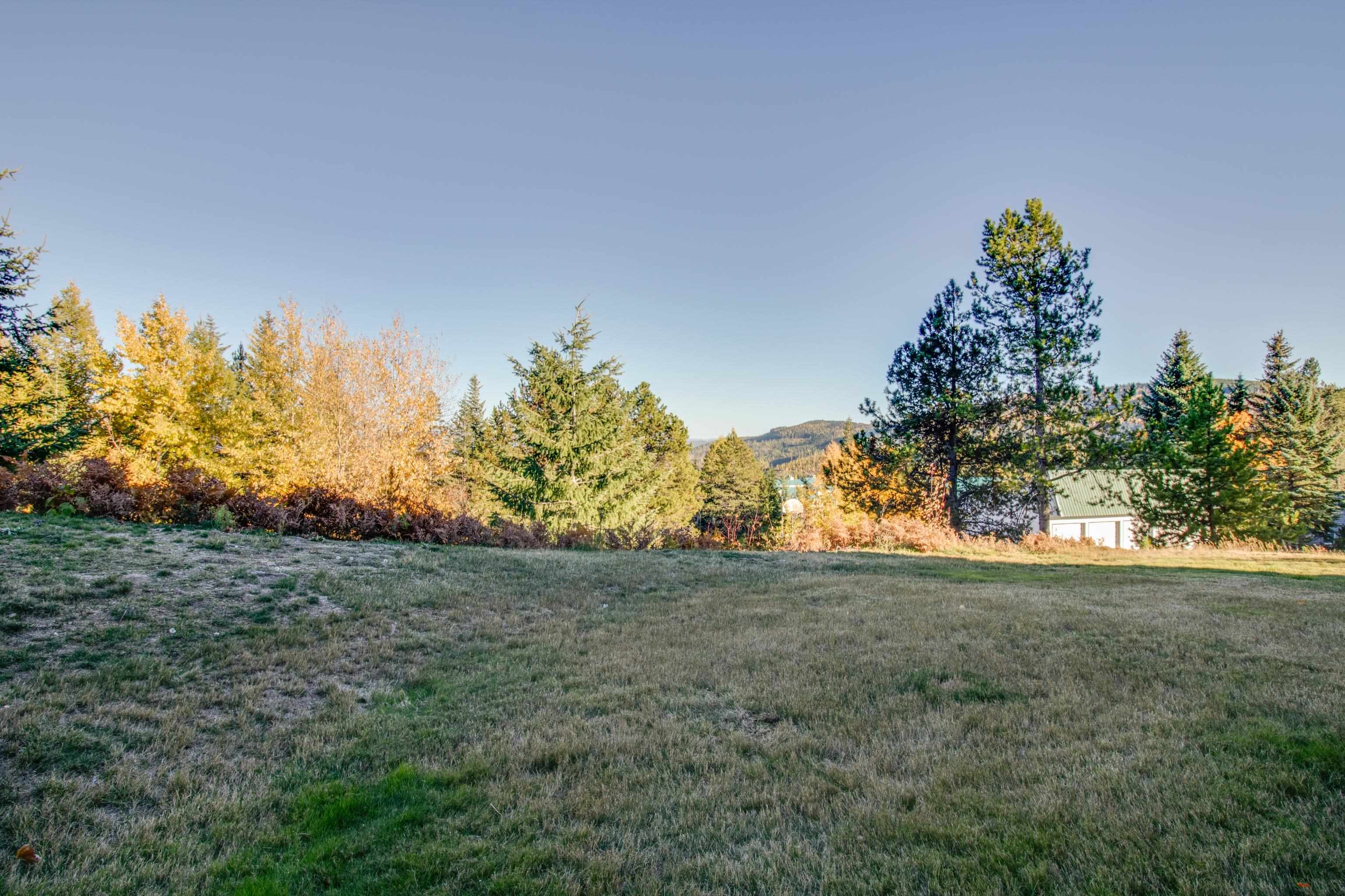 28600 N Mt Spokane Park Dr - Photo 8