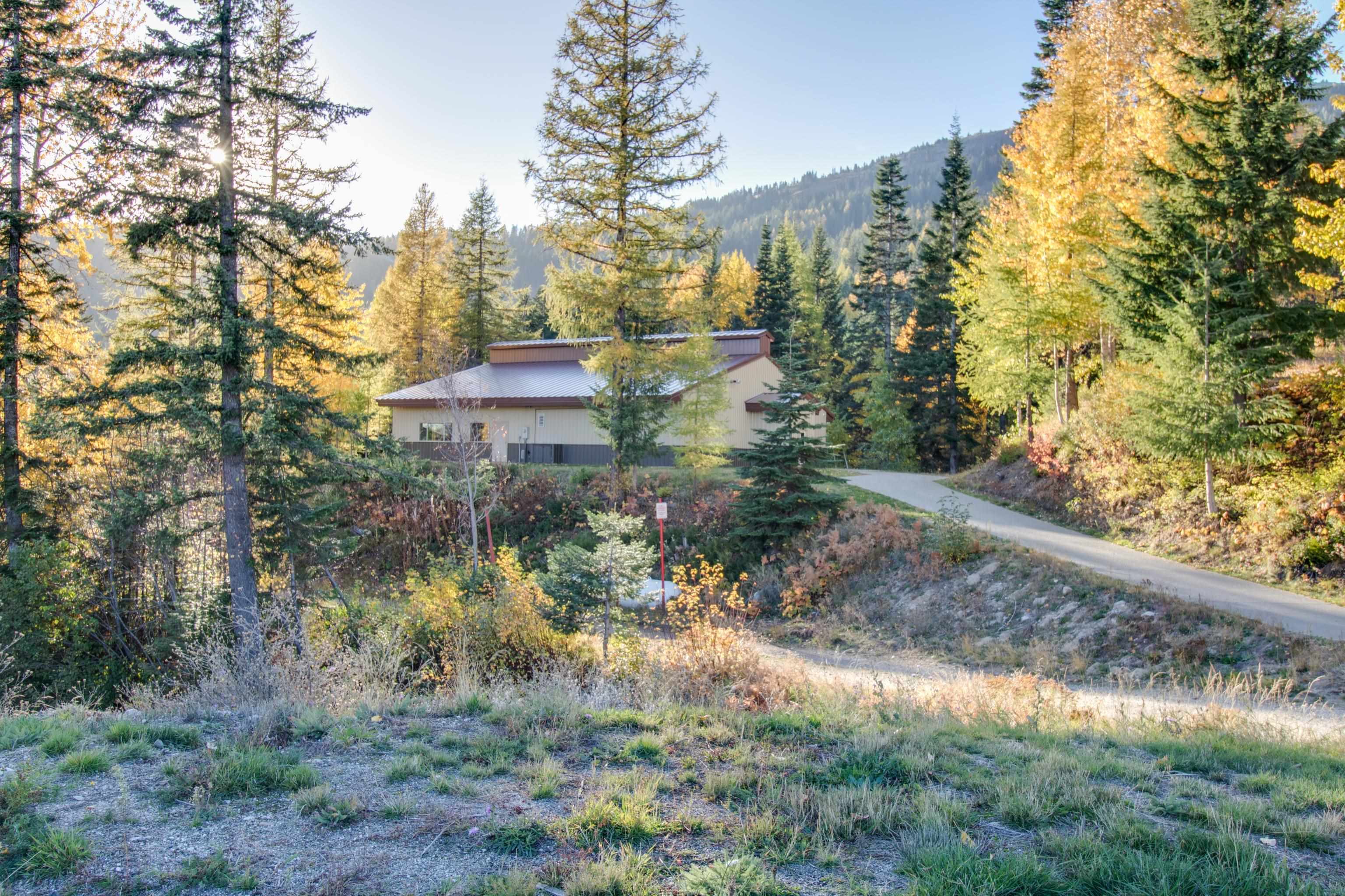 28600 N Mt Spokane Park Dr - Photo 9