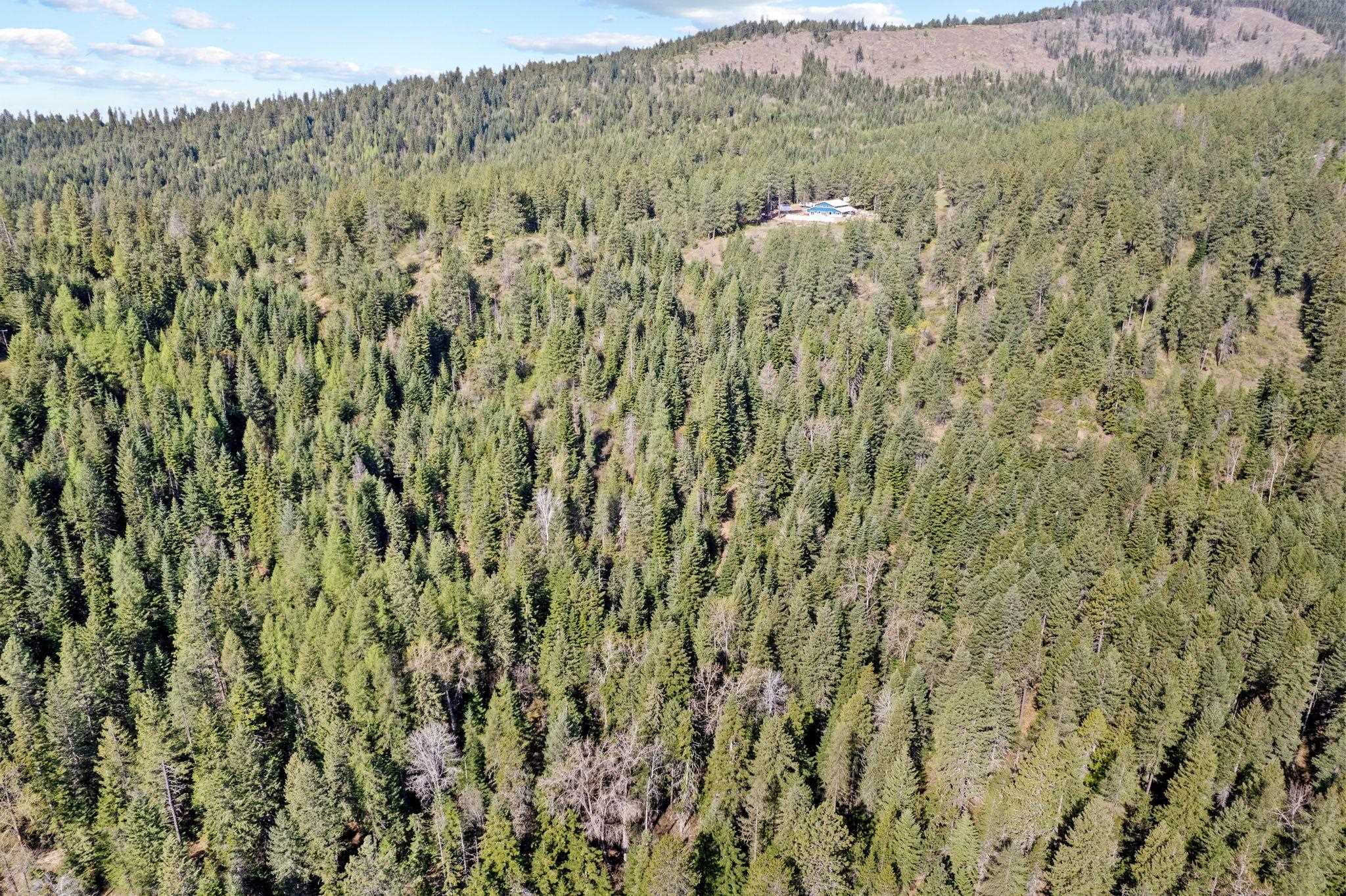 12703 S Alpine Fern Ln - Photo 3