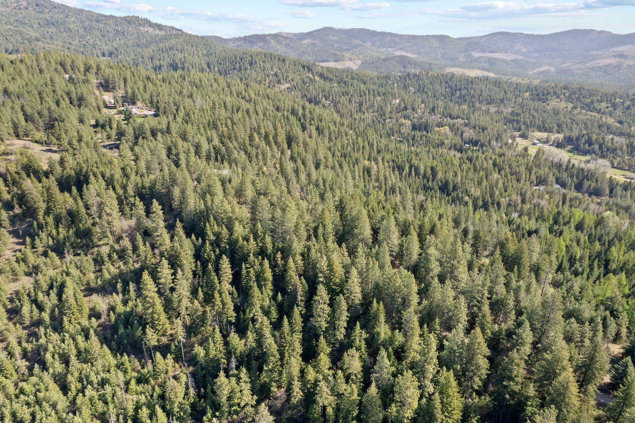 12703 S Alpine Fern Ln - Photo 6