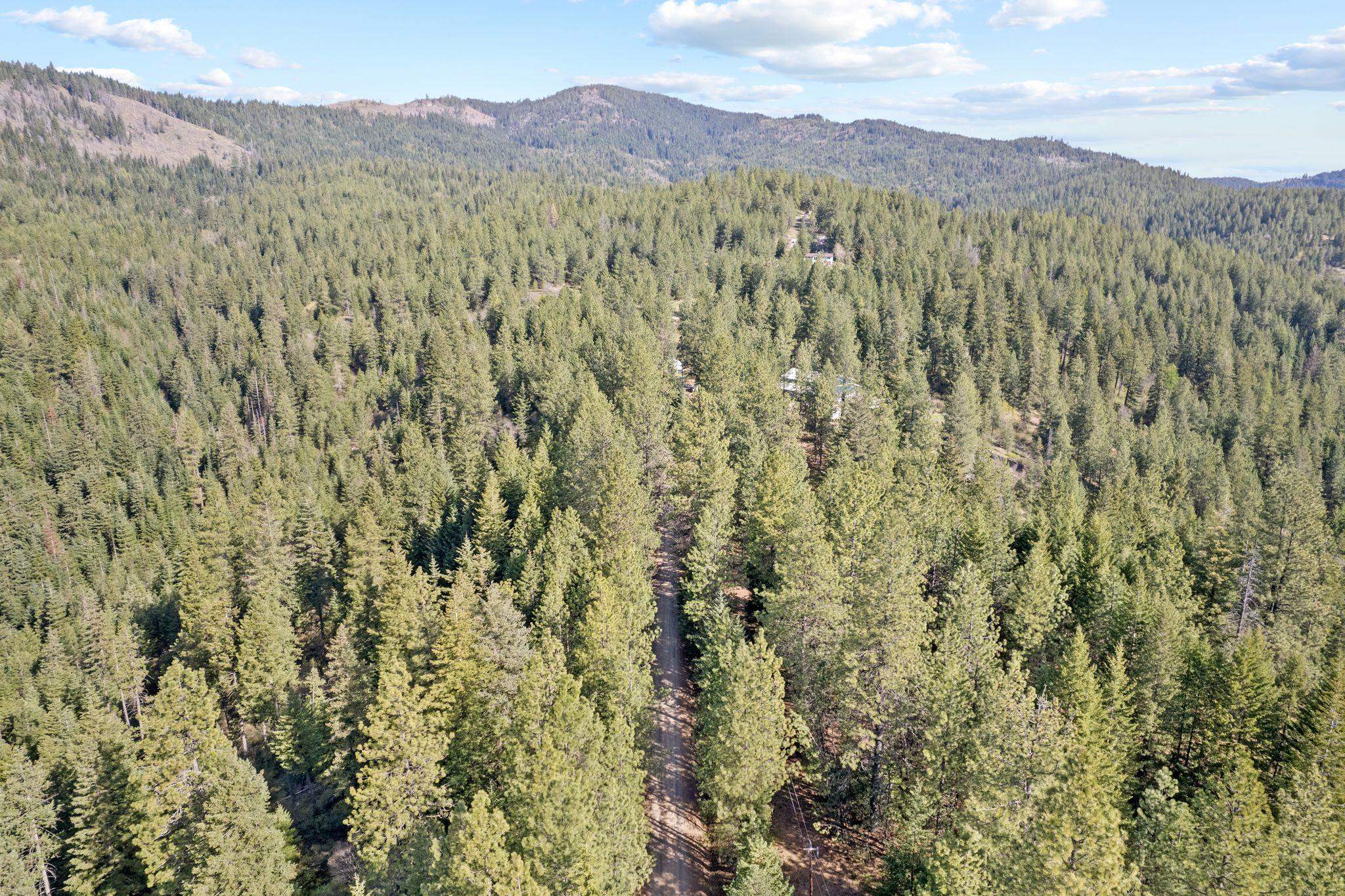 12703 S Alpine Fern Ln - Photo 7
