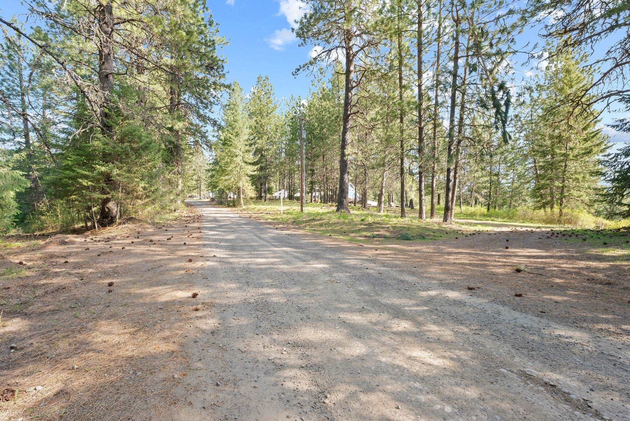 12703 S Alpine Fern Ln - Photo 12