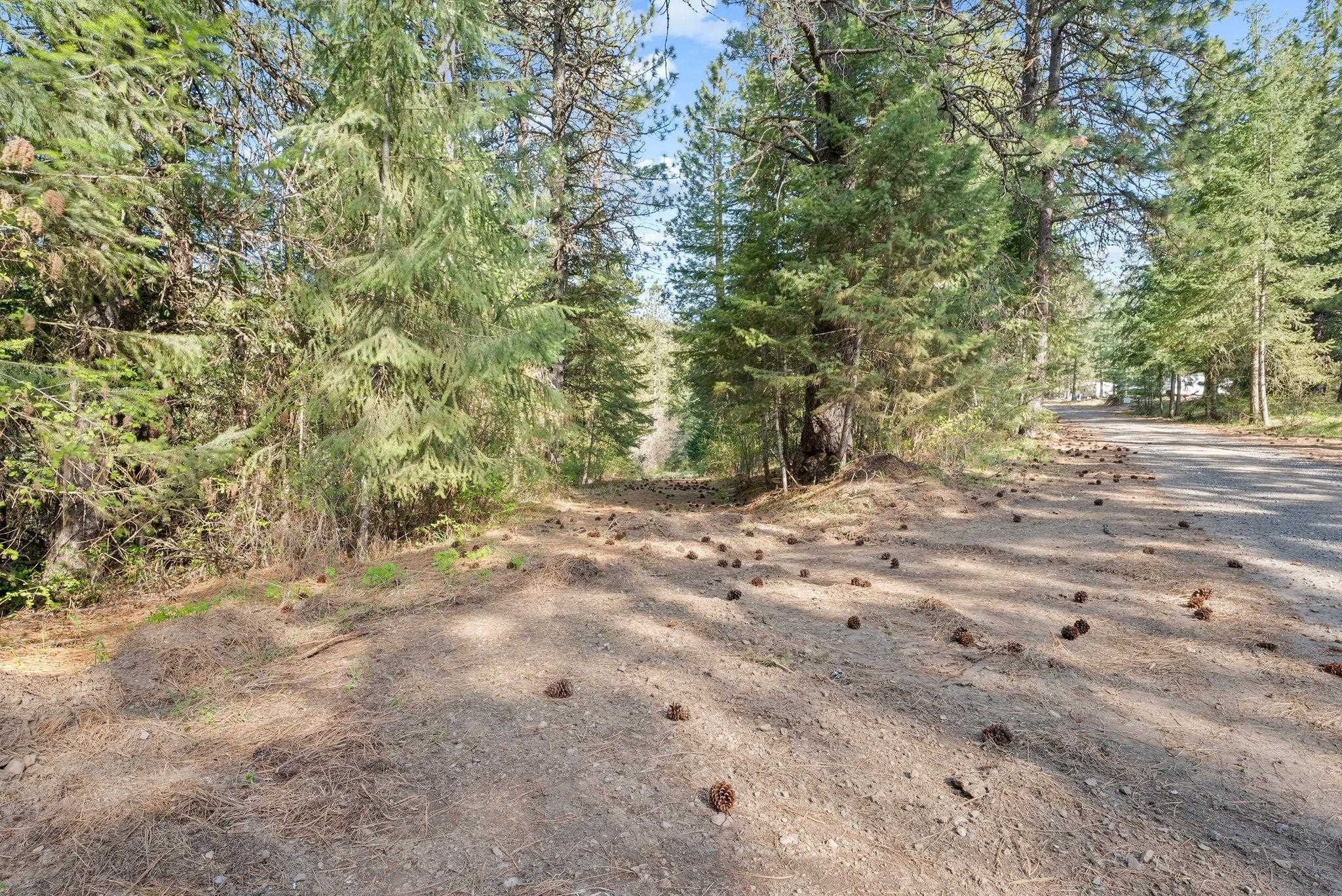 12703 S Alpine Fern Ln - Photo 13