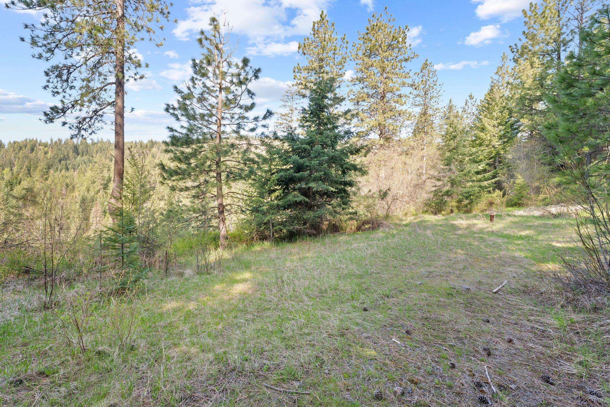 12703 S Alpine Fern Ln - Photo 14