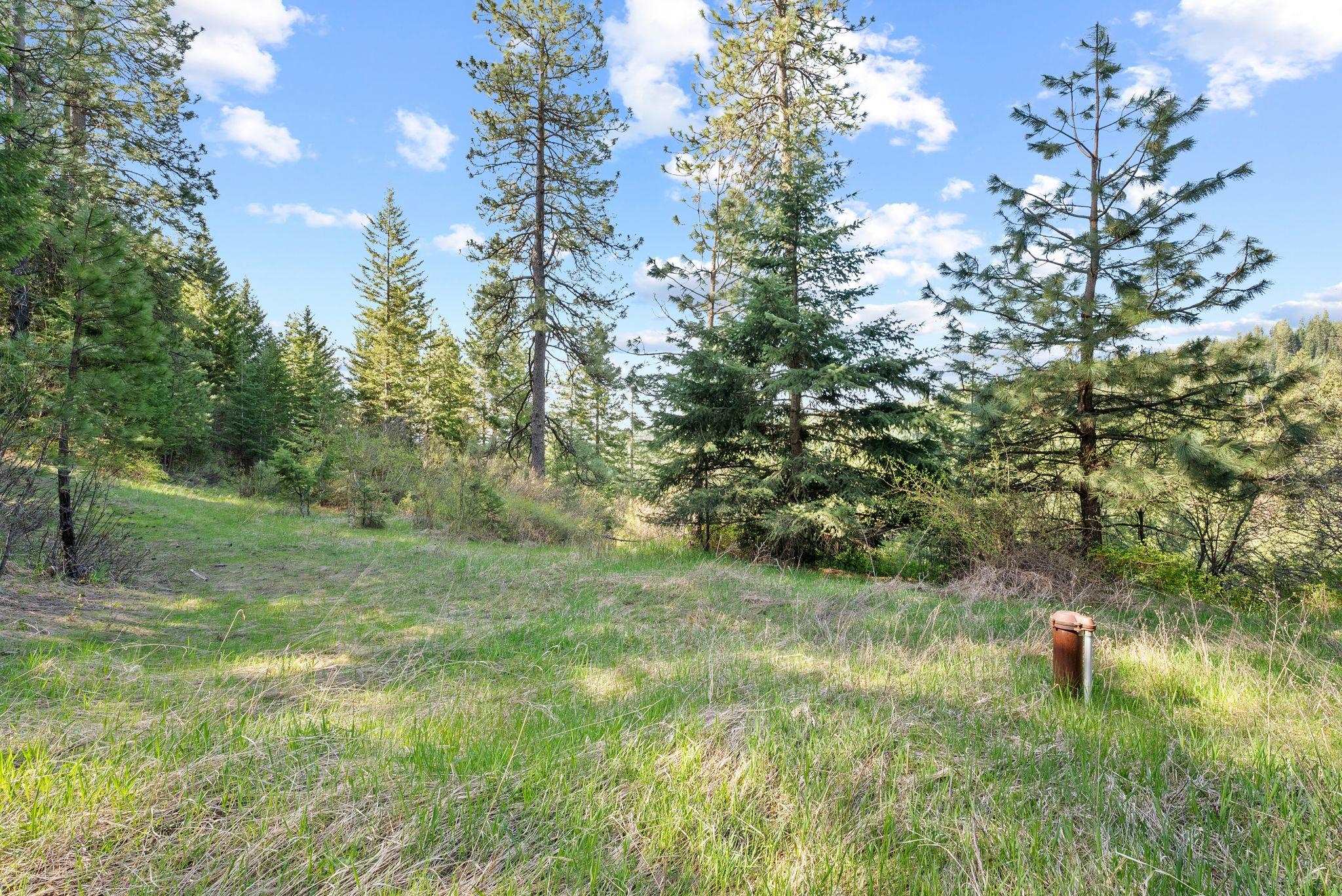 12703 S Alpine Fern Ln - Photo 15