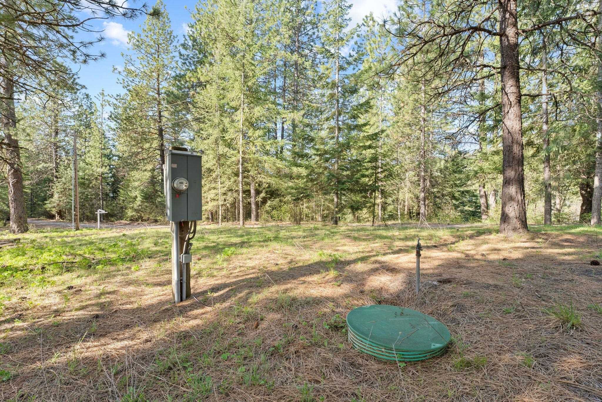12703 S Alpine Fern Ln - Photo 17
