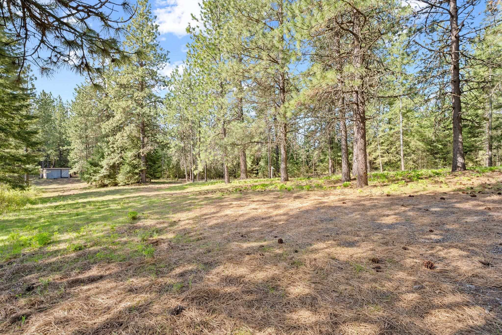 12703 S Alpine Fern Ln - Photo 19