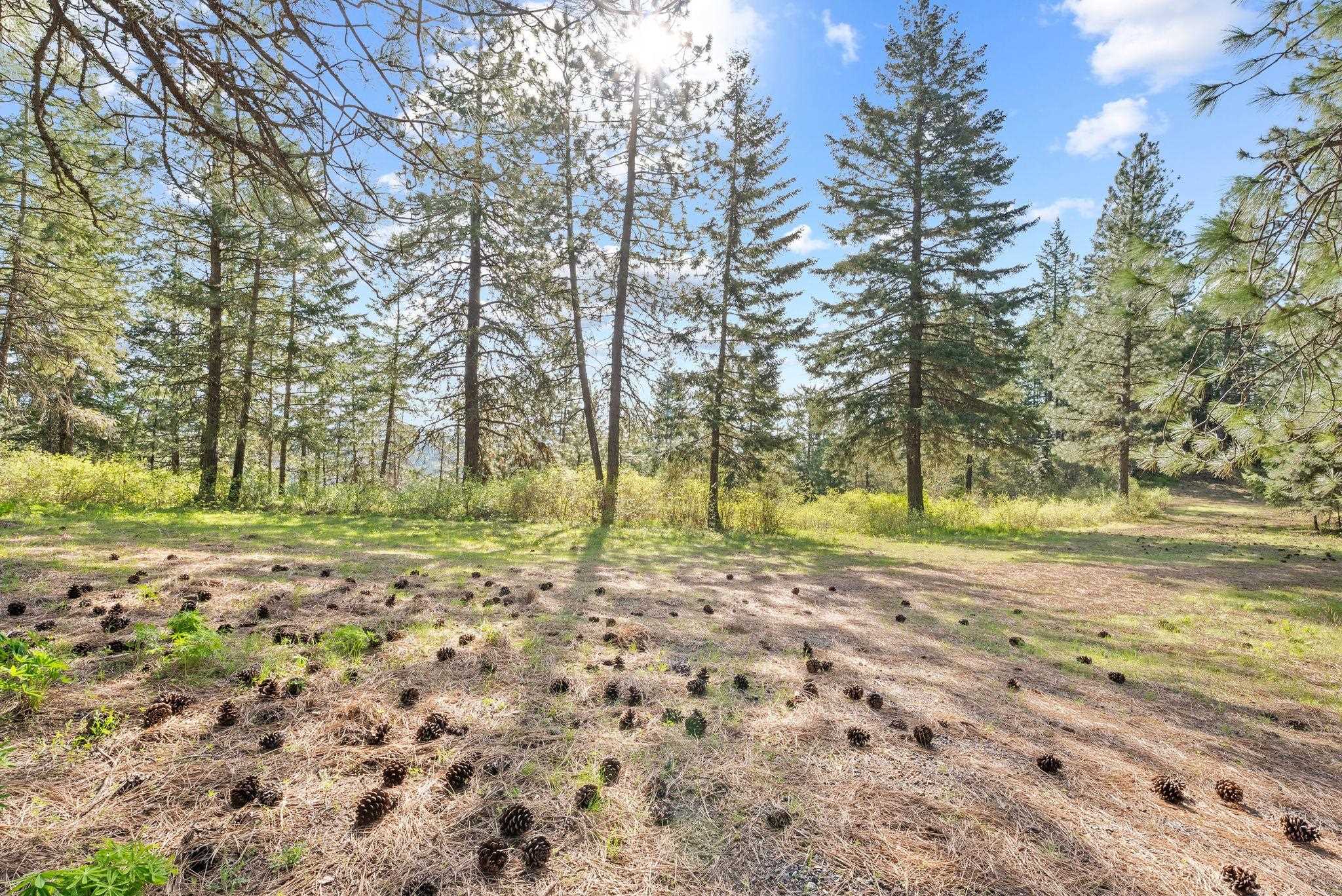 12703 S Alpine Fern Ln - Photo 20