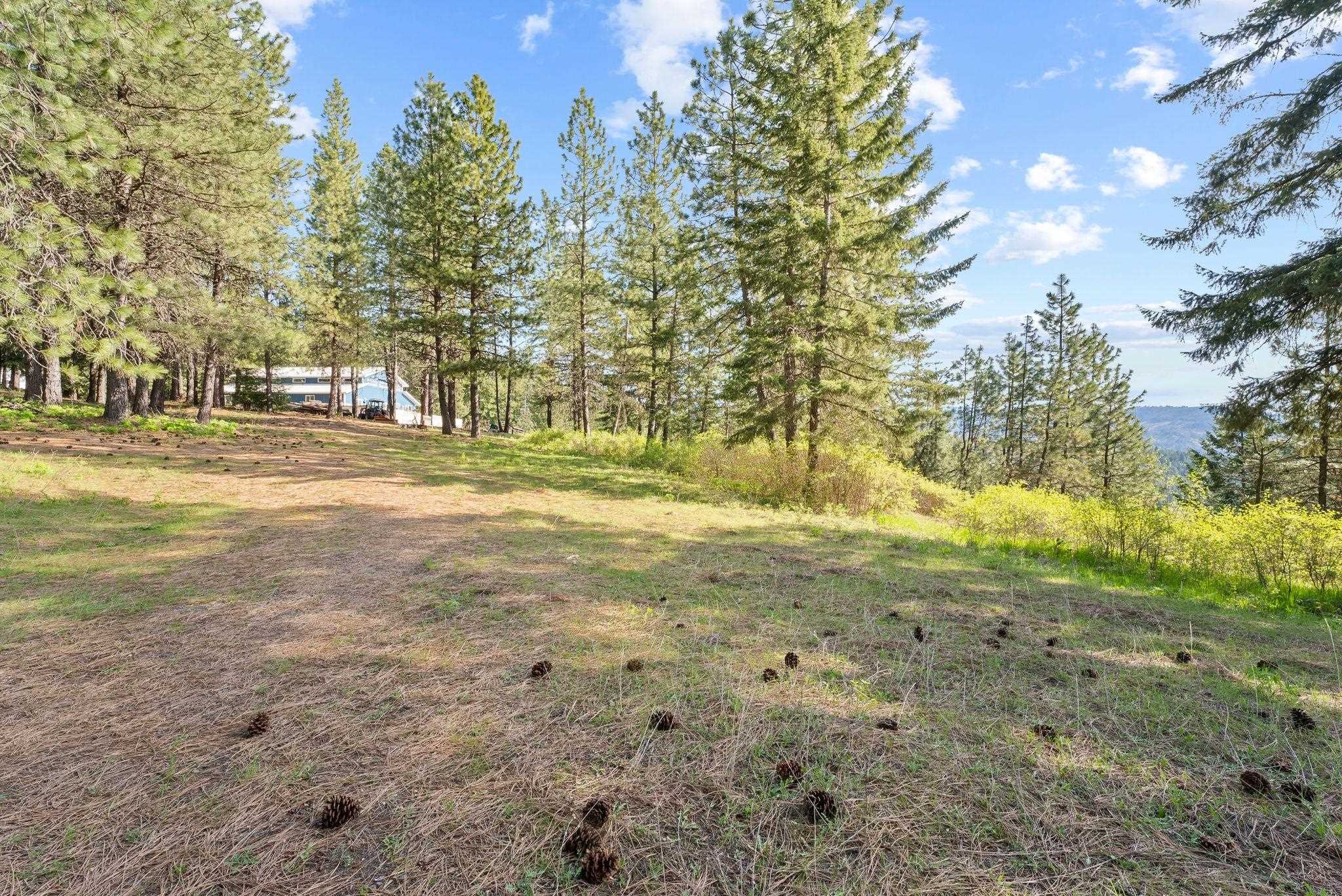 12703 S Alpine Fern Ln - Photo 21