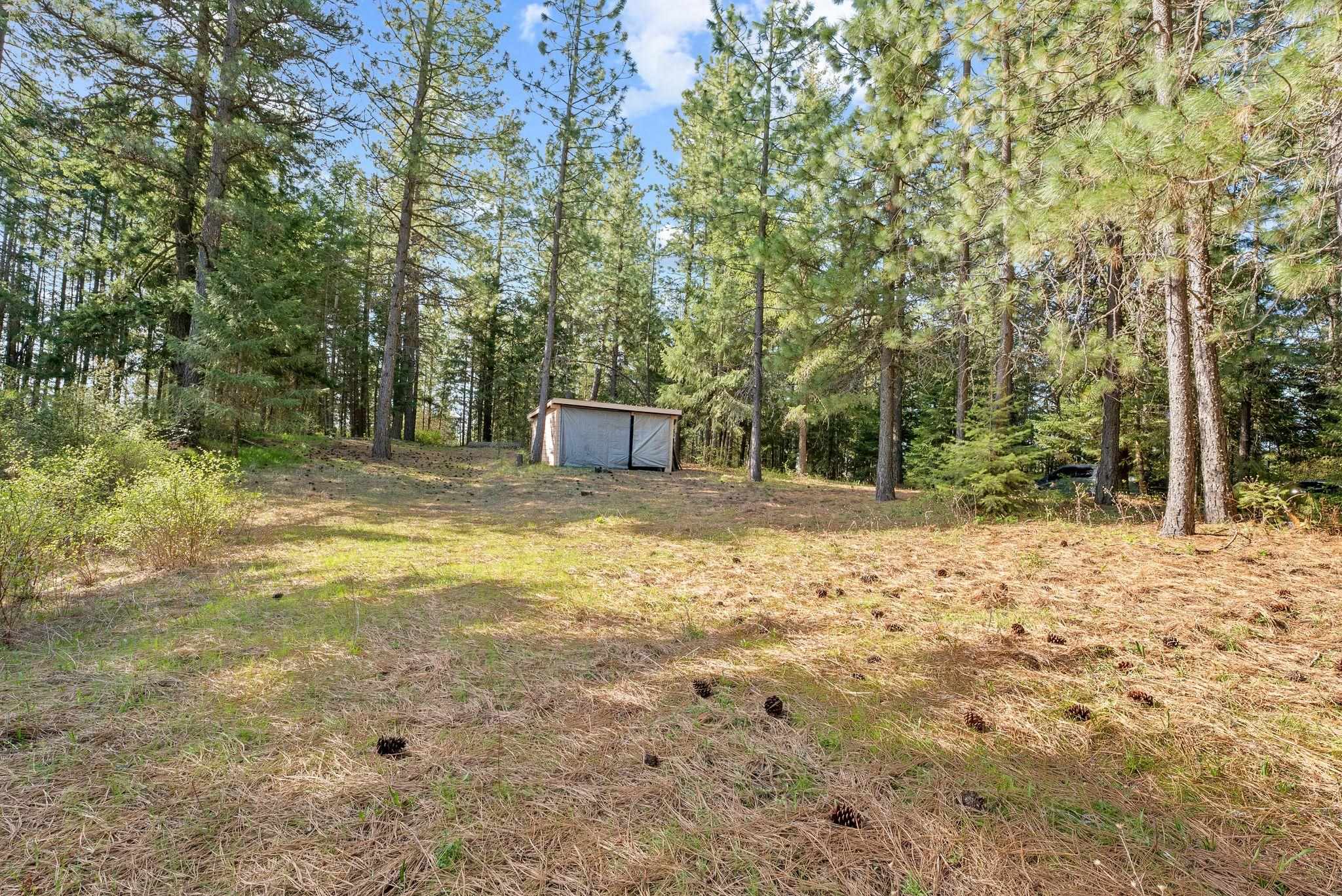 12703 S Alpine Fern Ln - Photo 22