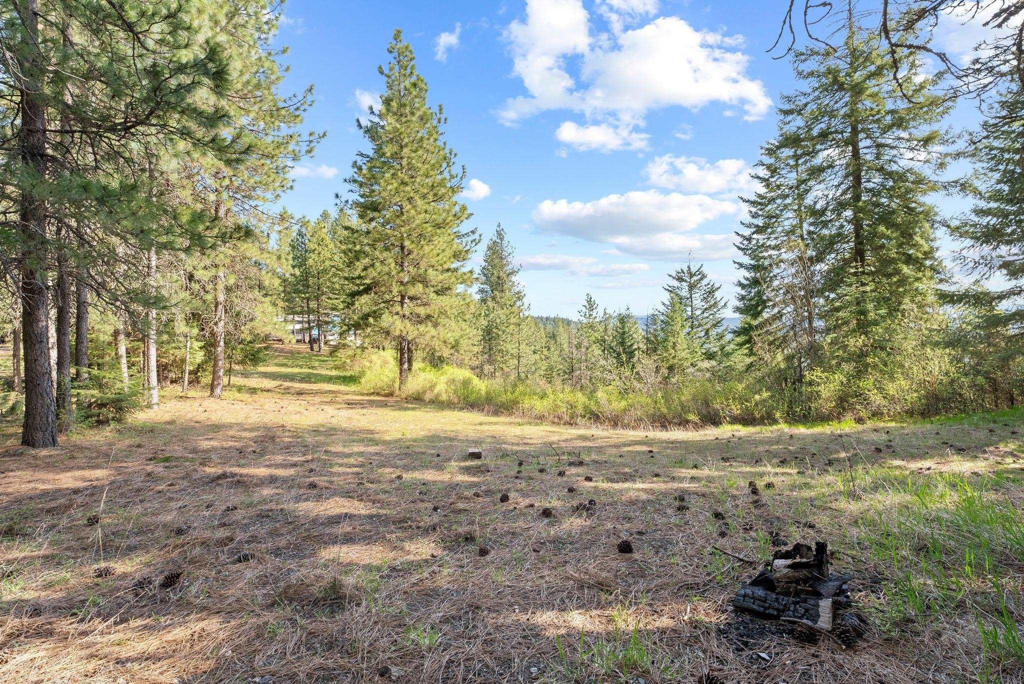 12703 S Alpine Fern Ln - Photo 23