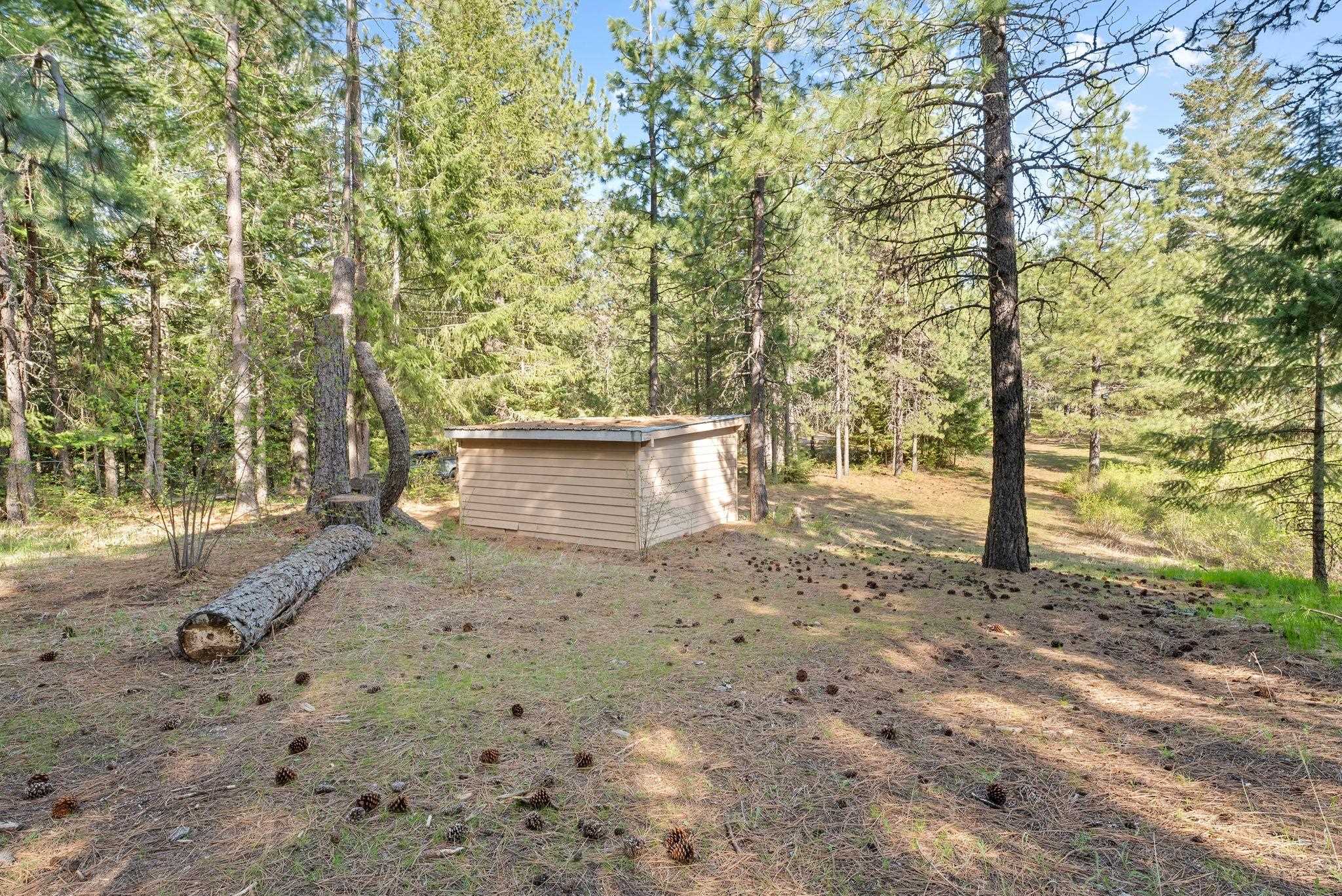 12703 S Alpine Fern Ln - Photo 24