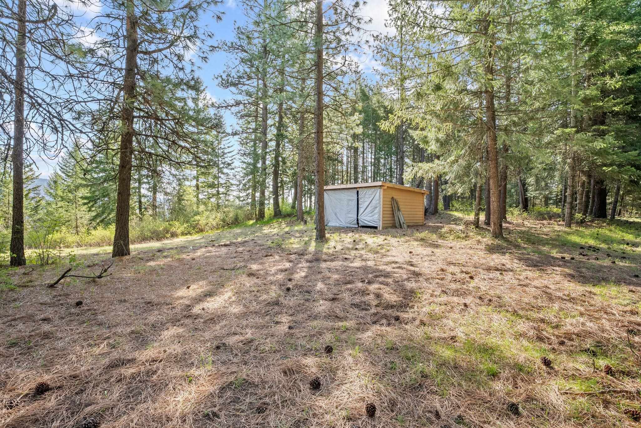 12703 S Alpine Fern Ln - Photo 27