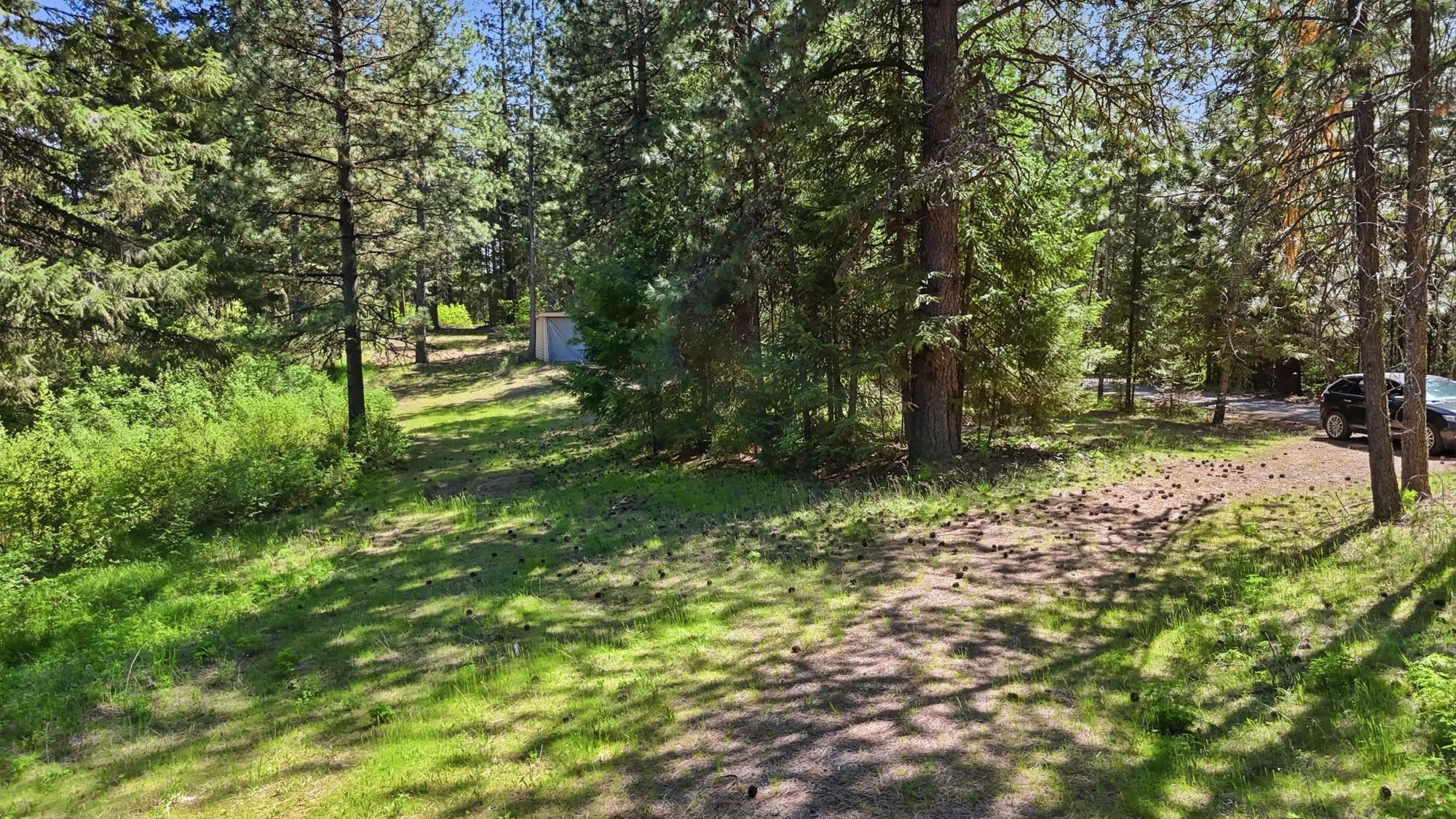 12703 S Alpine Fern Ln - Photo 30